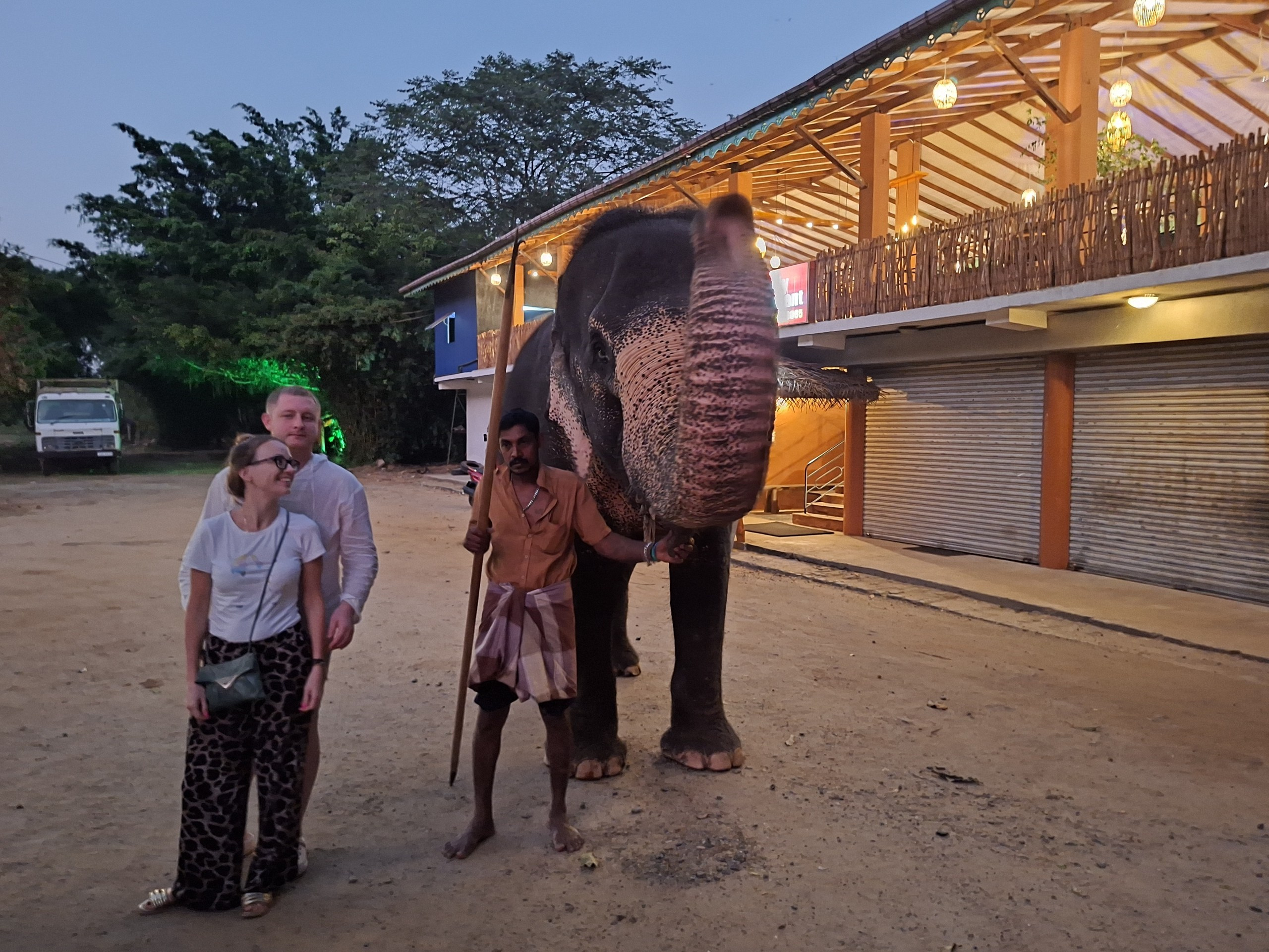 Шри-Ланка | 31.01 — 10.02.2025. Галерея Фантим