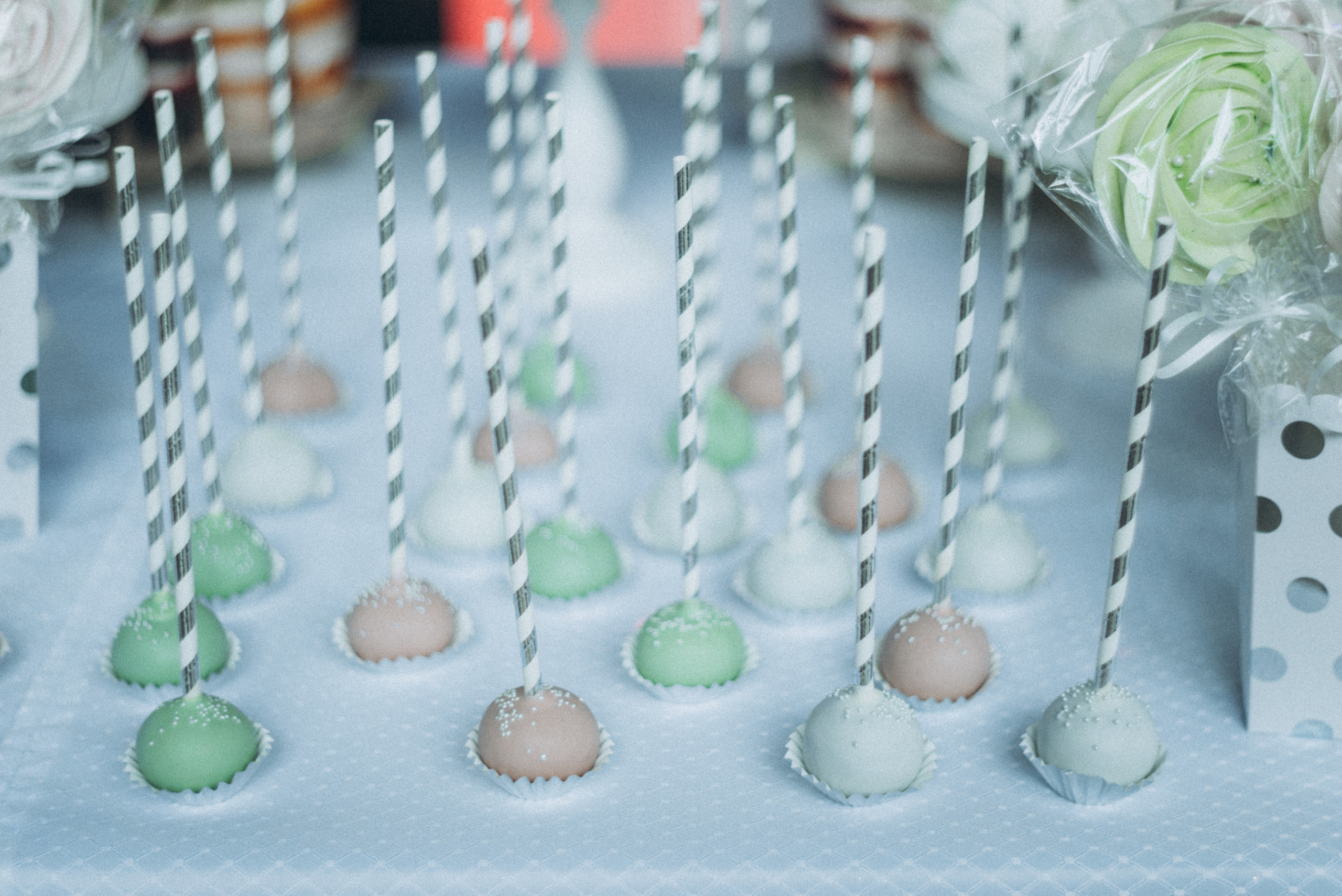 Wedding Alexandra&Nikita ph Elena Gorbach. Свадебный и семейный фотограф город Темрюк Фотостудия Темрюк