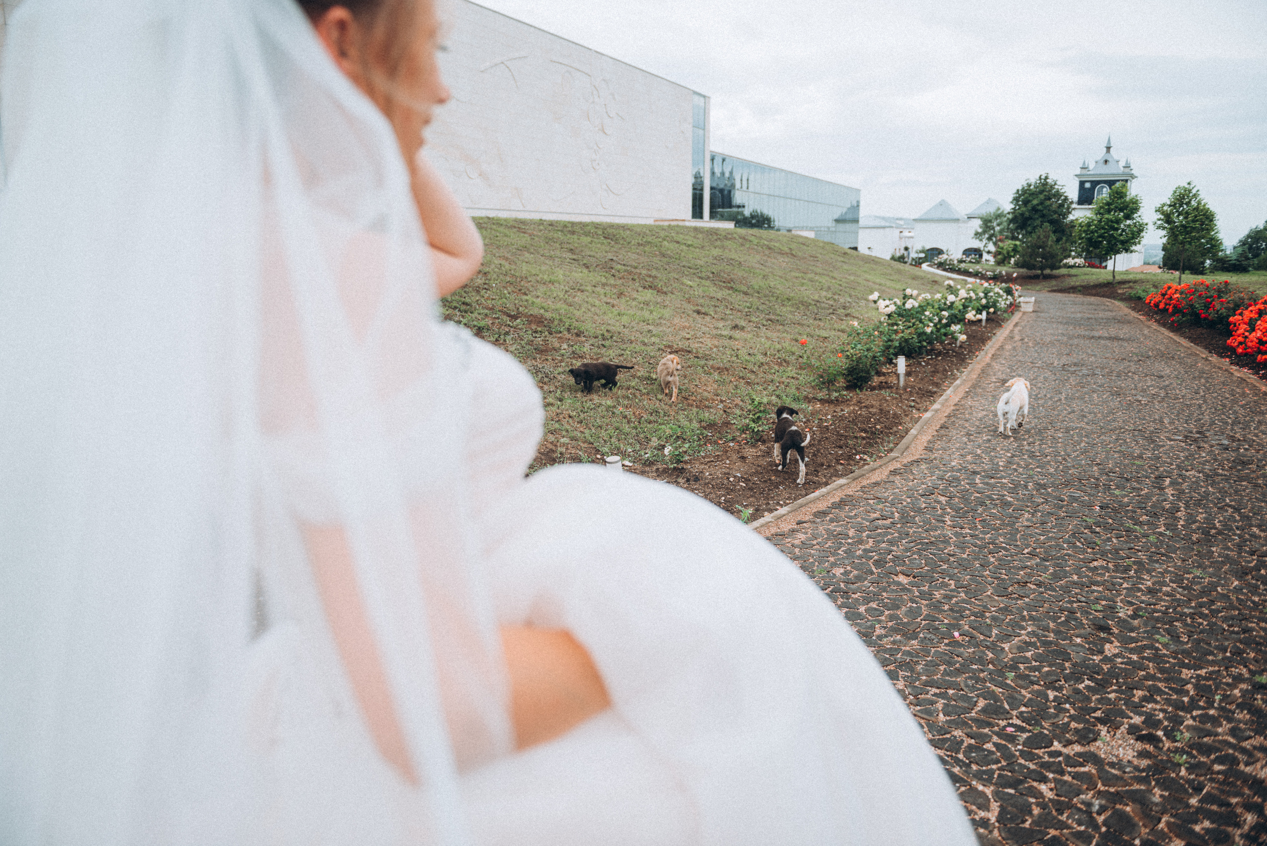 Wedding Alexandra&Nikita ph Elena Gorbach. Свадебный и семейный фотограф город Темрюк Фотостудия Темрюк