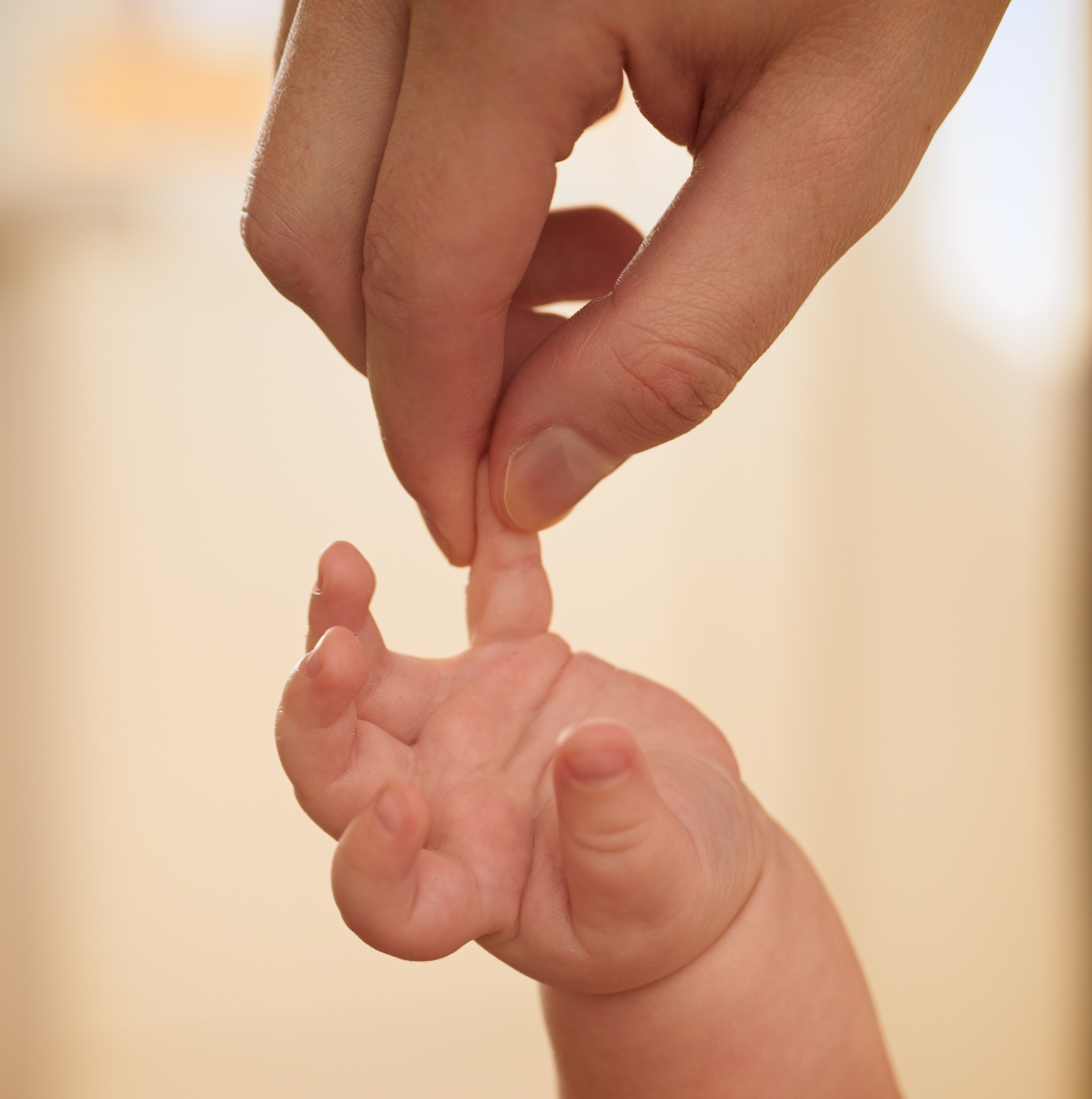 Семья. Семейный и интерьерный фотограф в Норильске и Красноярске