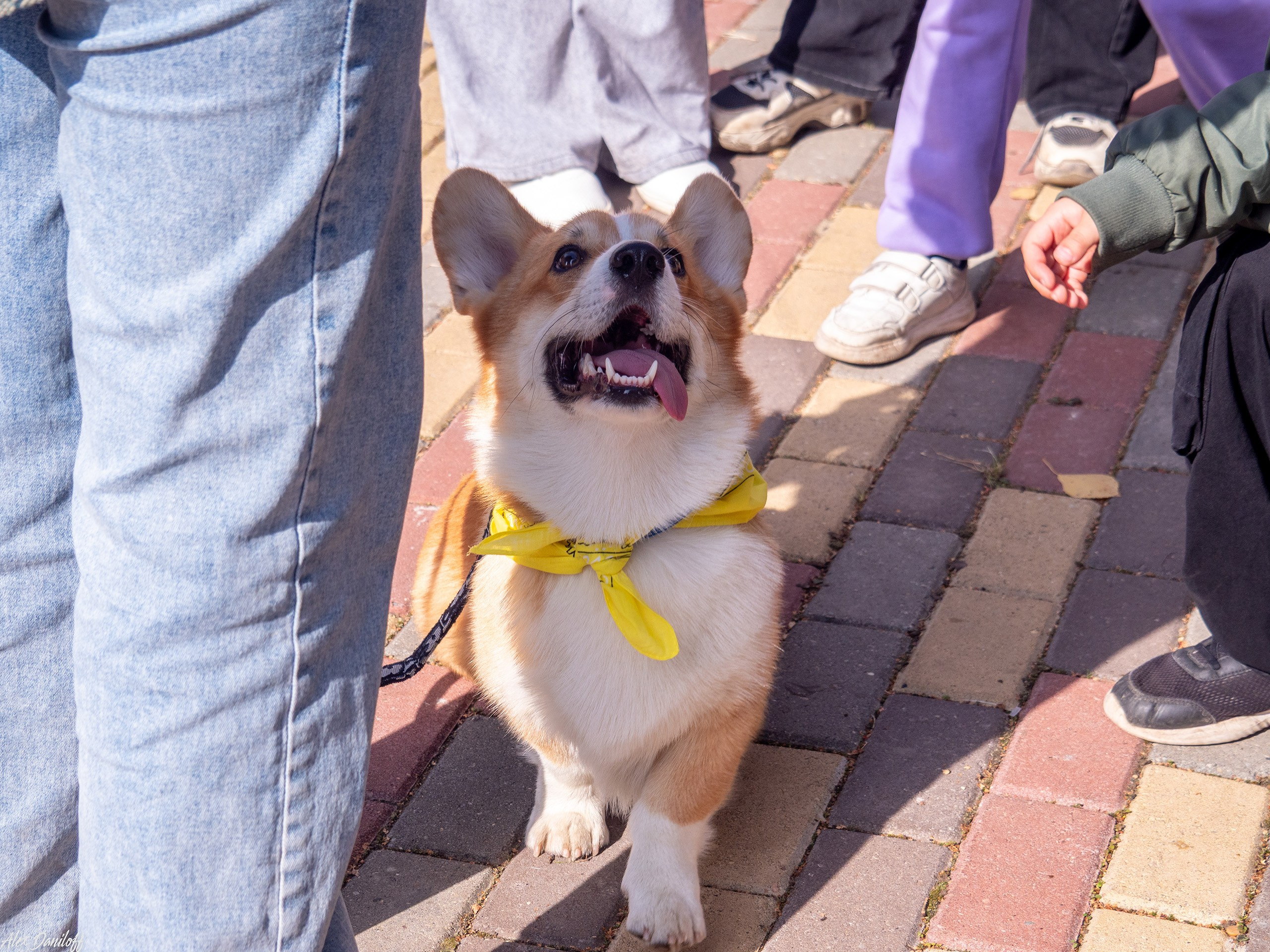 Обнимака 2025. Муром-Инфо. Новости культуры, образования, спорта в городе Муром