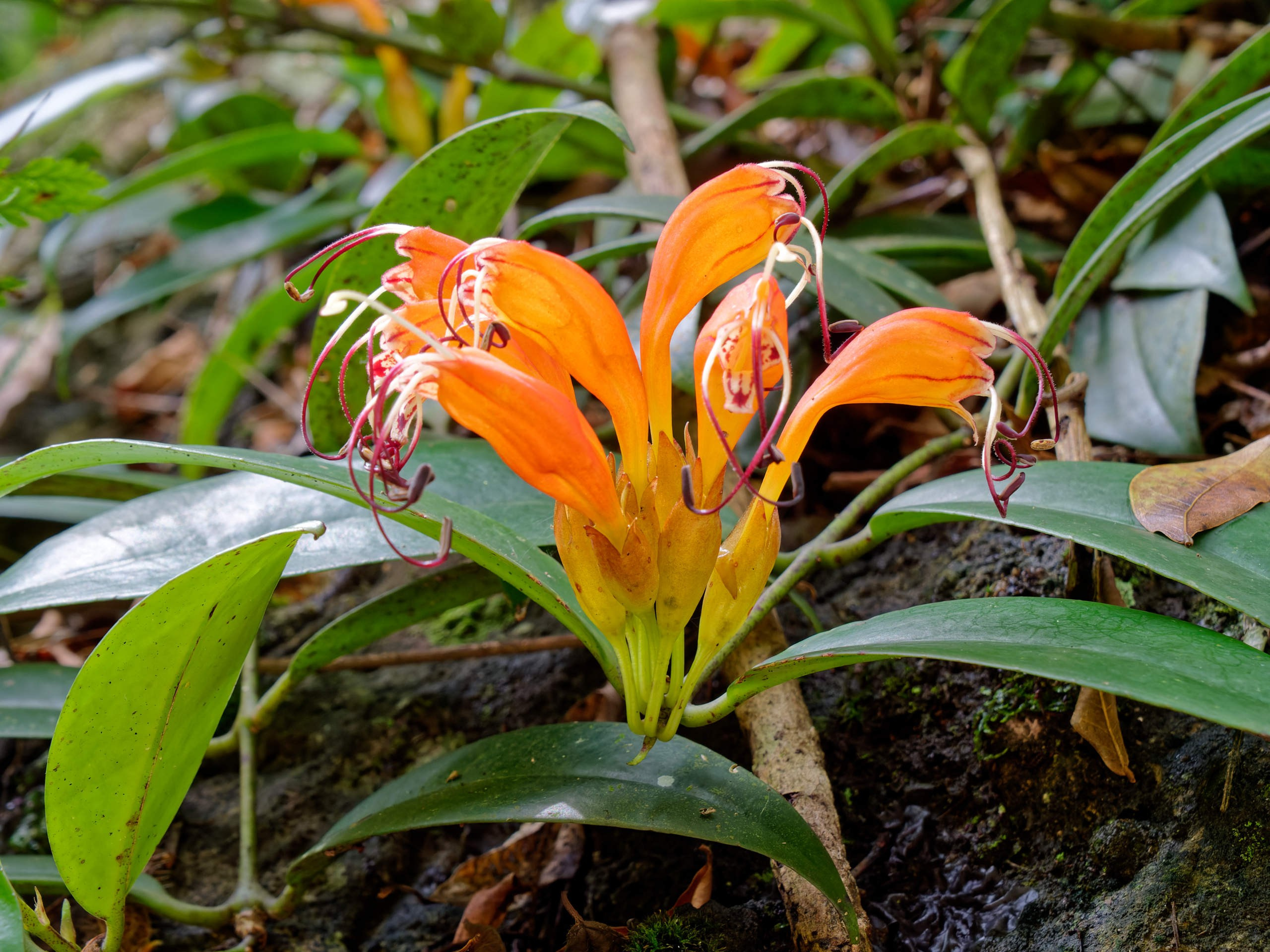 Далат 2023. Избранные фотографии