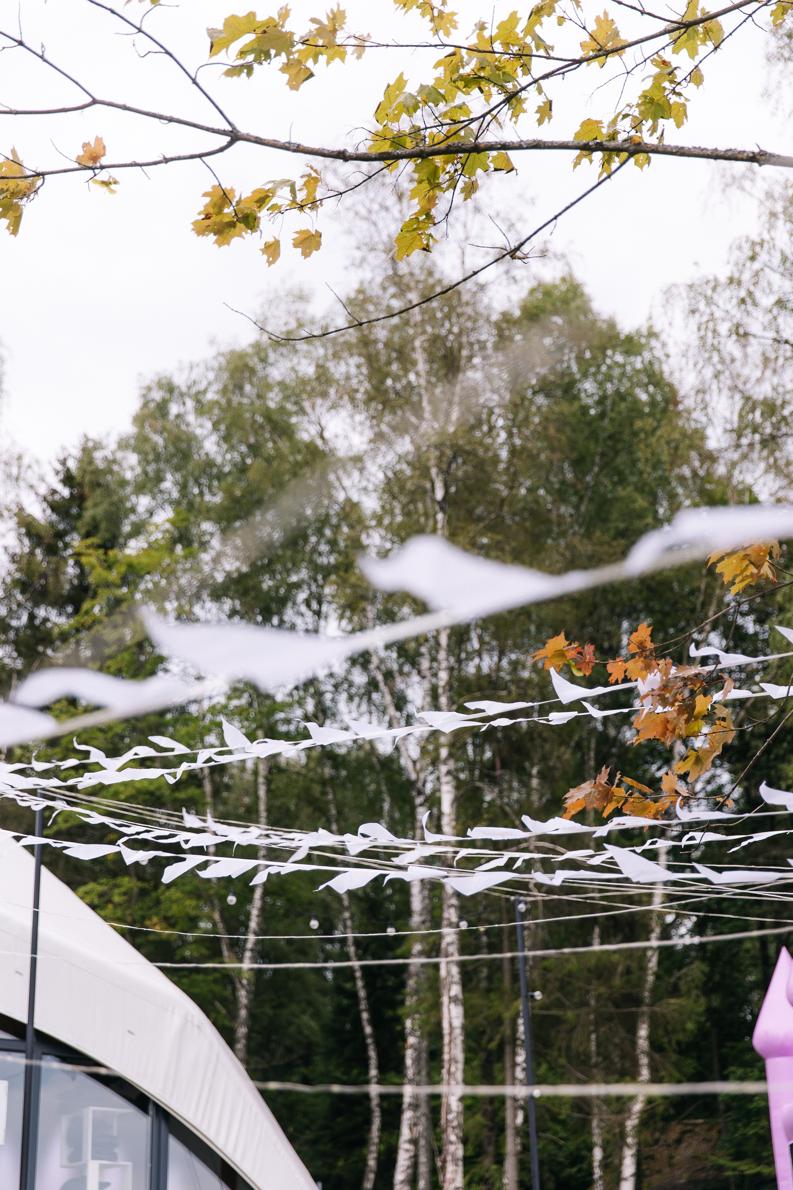 ВСЁ НАЧИНАЕТСЯ С ПОСЛЕДНЕГО ЗВОНКА. Анастасия Мелёхина Фотограф Москва, Свадебный фотограф Москва