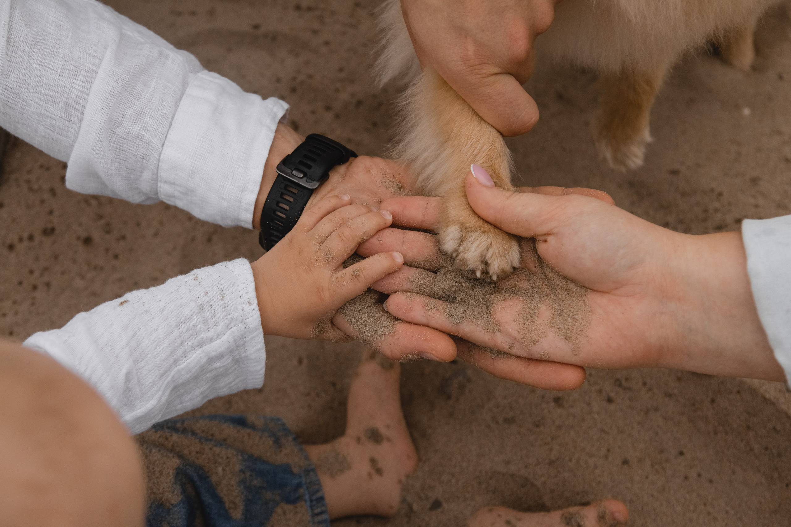 Под Бугринским мостом. ФОТОГРАФ НОВОСИБИРСК — АЛЁНА ЖИГАЛЕЕВА