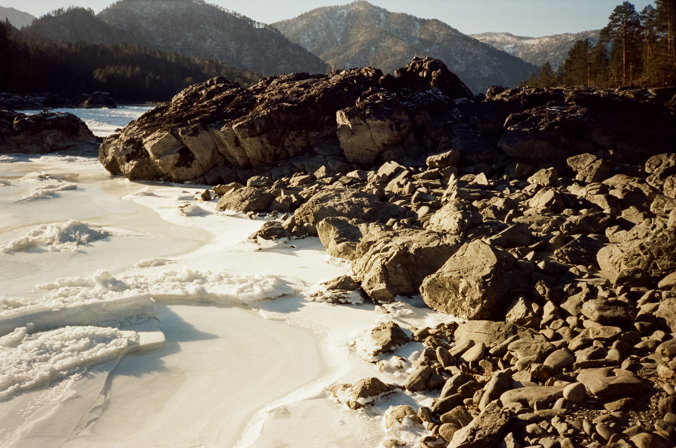 Зимняя Катунь: острова, льды, скалы у базы Берель. Зеленые сосны и. Фотограф-документалист Мария Осокина