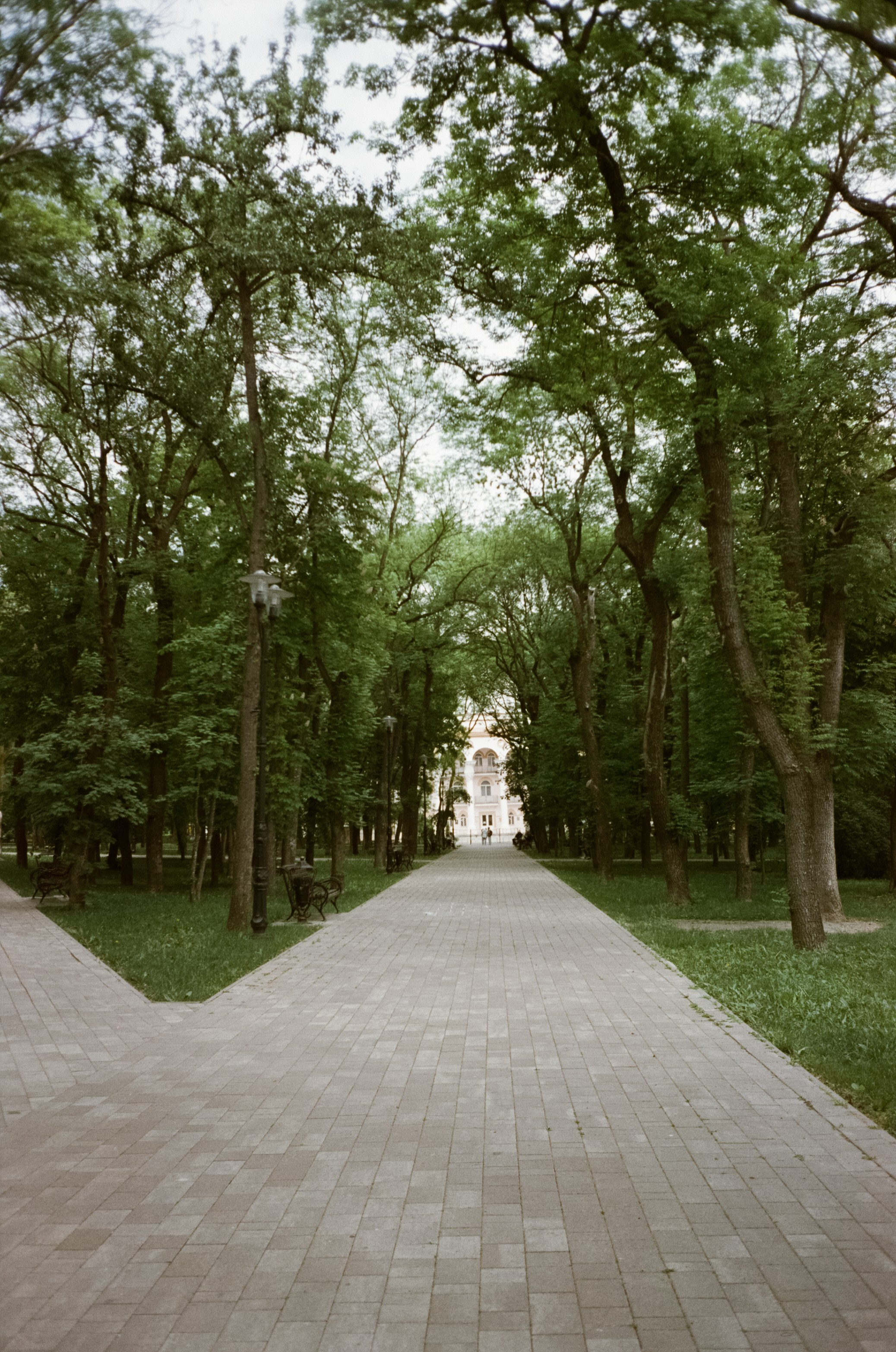 Курортный парк и улочки Ессентуков. Фотограф-документалист Мария Осокина