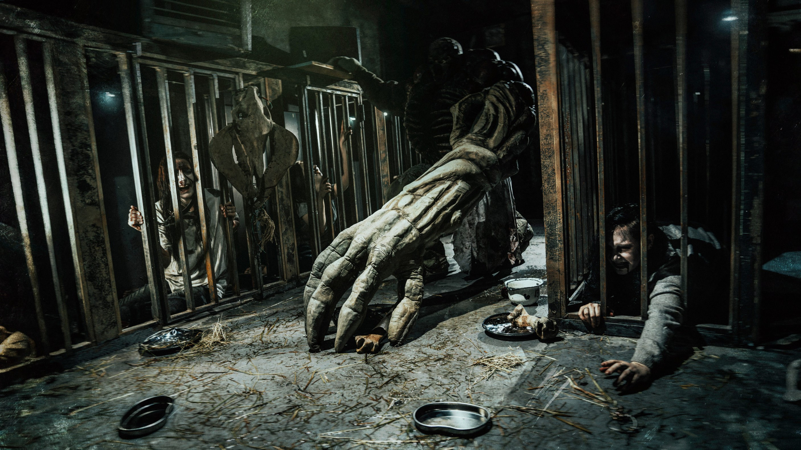 фотограф квестов, фотограф квеста, квест съемка, съемки квеста, фотосессия квест