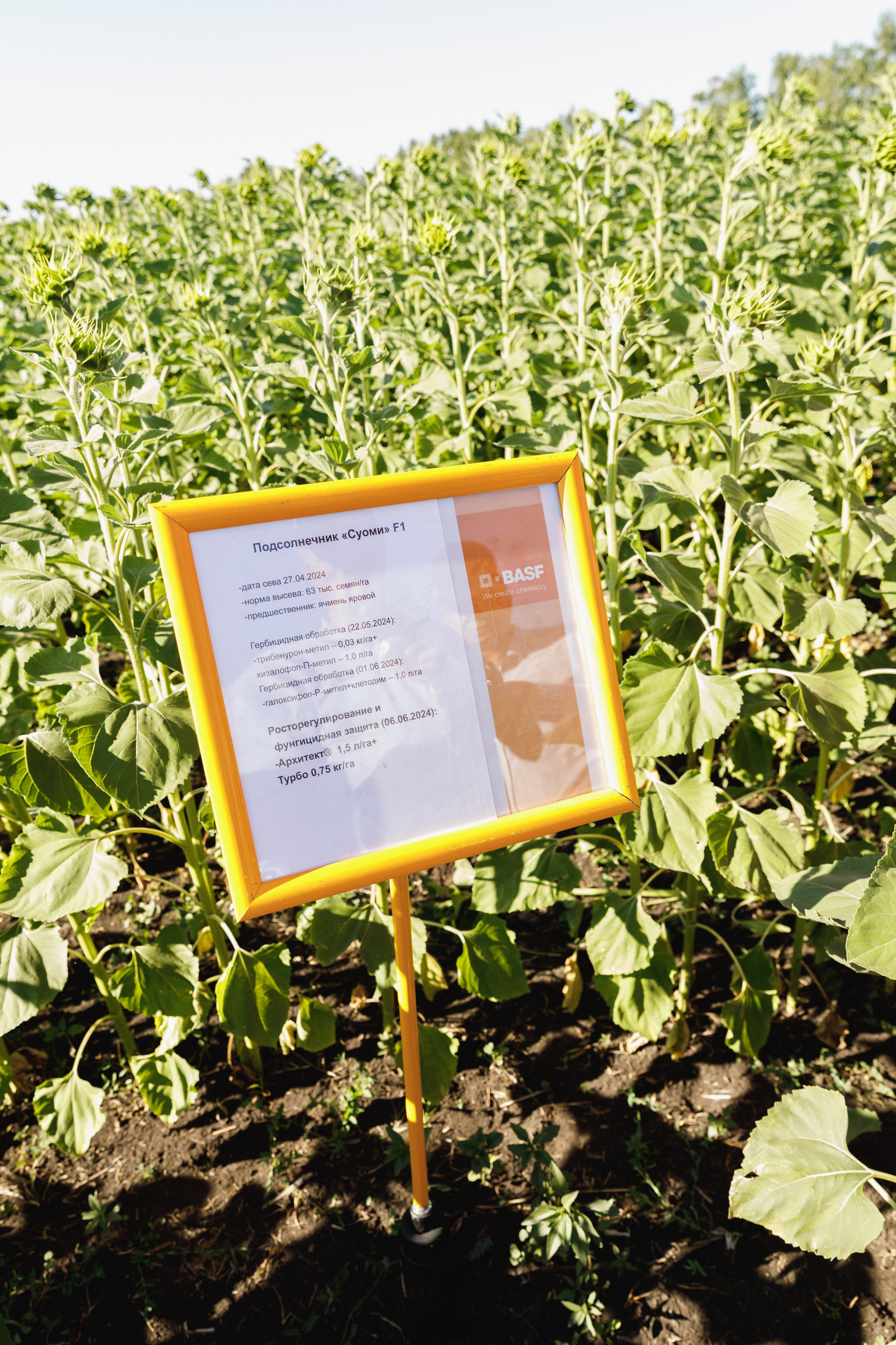 BASF. Конференция 2024. Фотограф Липецк. Фотограф в Липецке Татьяна Минаева. Портретный фотограф Липецк. Свадебный фотограф Липецк. Бизнес фотограф Липецк