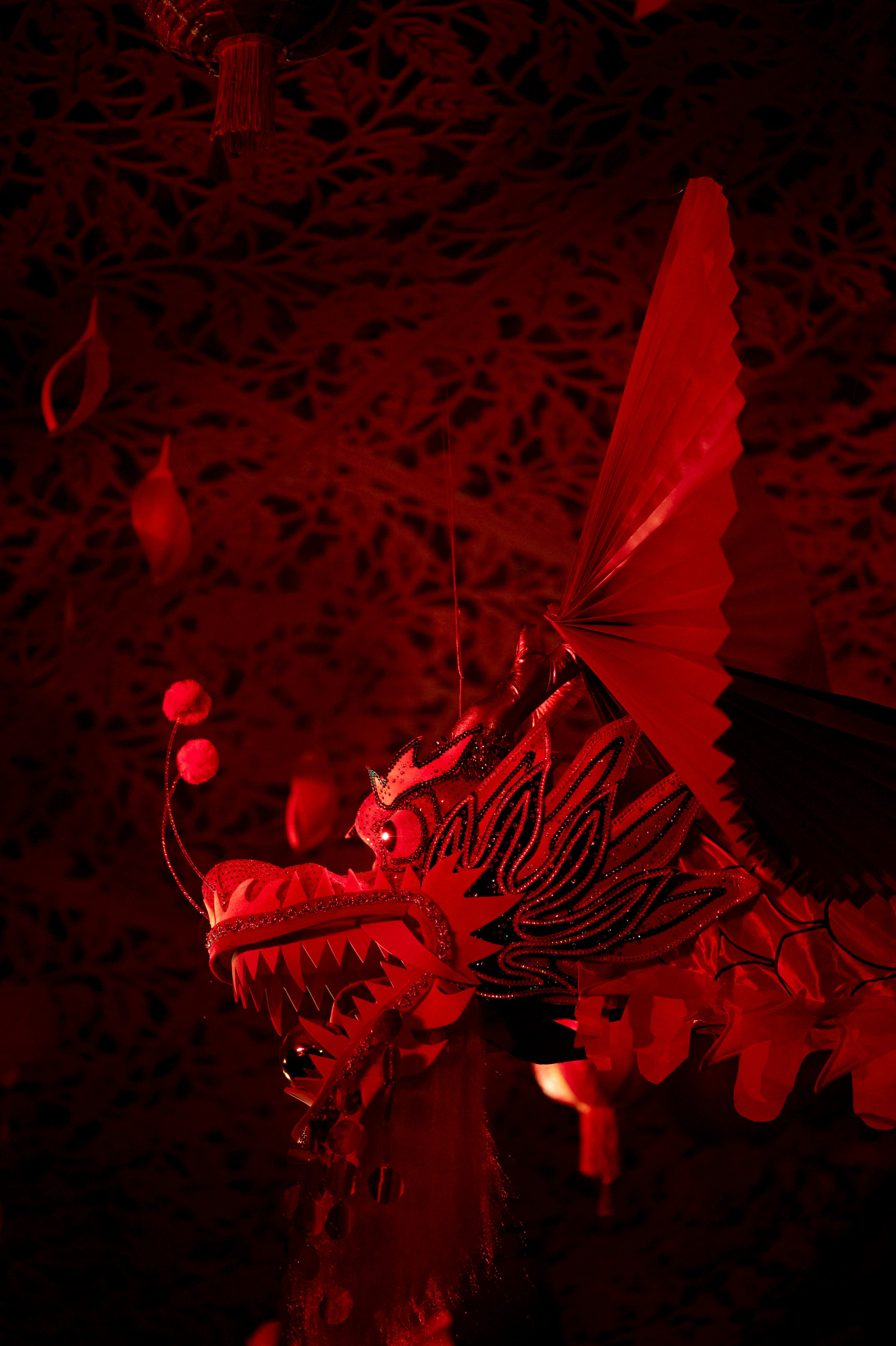 Новый год / СК Развитие / Ревва. Фотограф Антон Горин