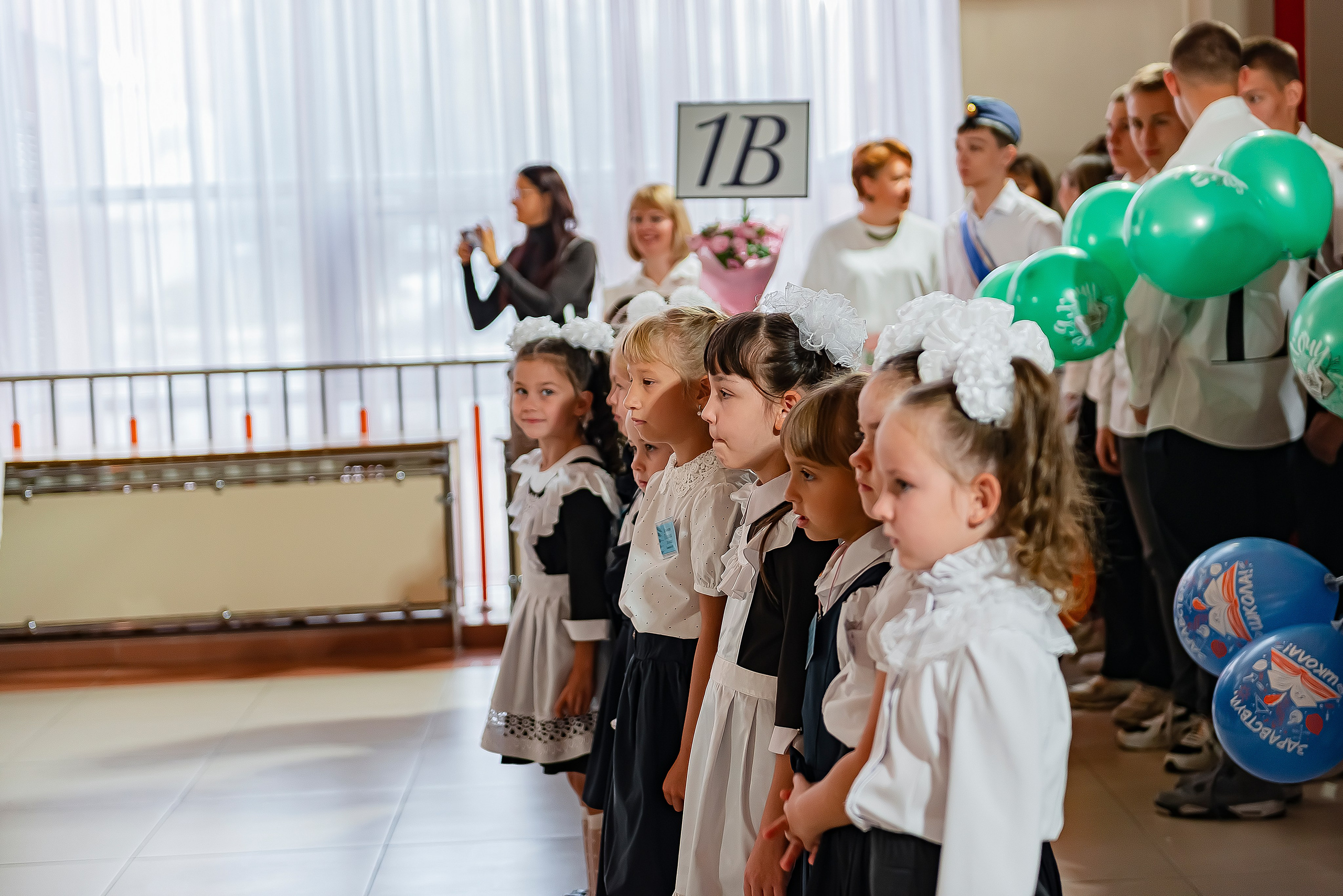 1 «В» | Гимназия № 3| г. Белгород |2024. ALBUMIA