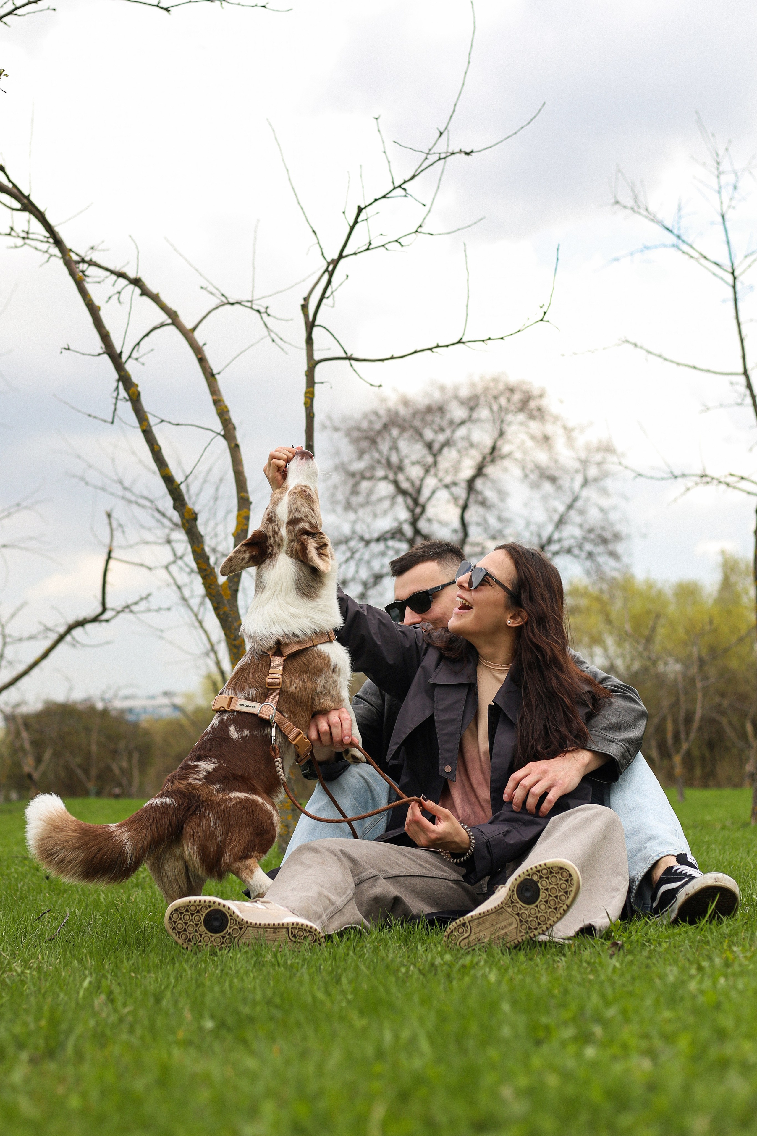 Анджей, Софья и Андрей. Фотограф-анималист Ксения Шевцова|Москва