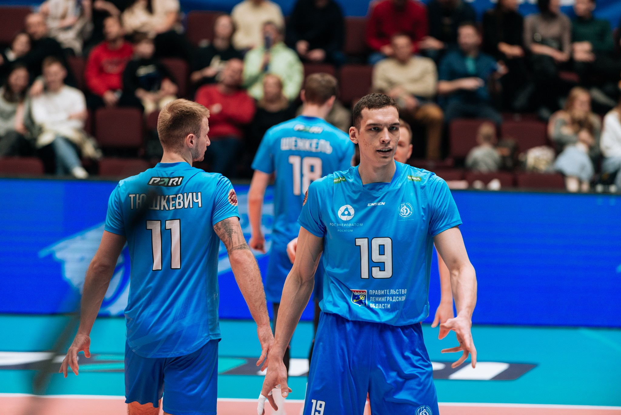 Зенит — Динамо-ЛО. Чемпионат России по волейболу. Февраль 24. Репортажный фотограф в Санкт-Петербурге Анастасия Клёпова