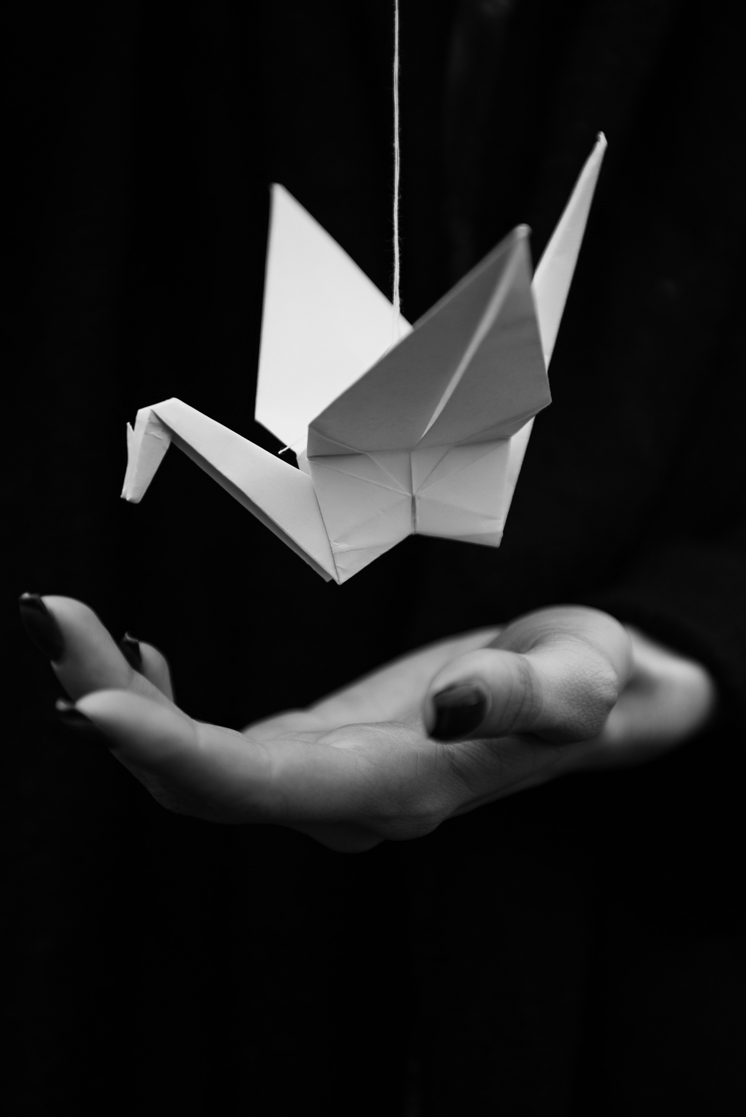 Ольга. Портретный и архитектурный фотограф в Москве и Санкт-Петербурге