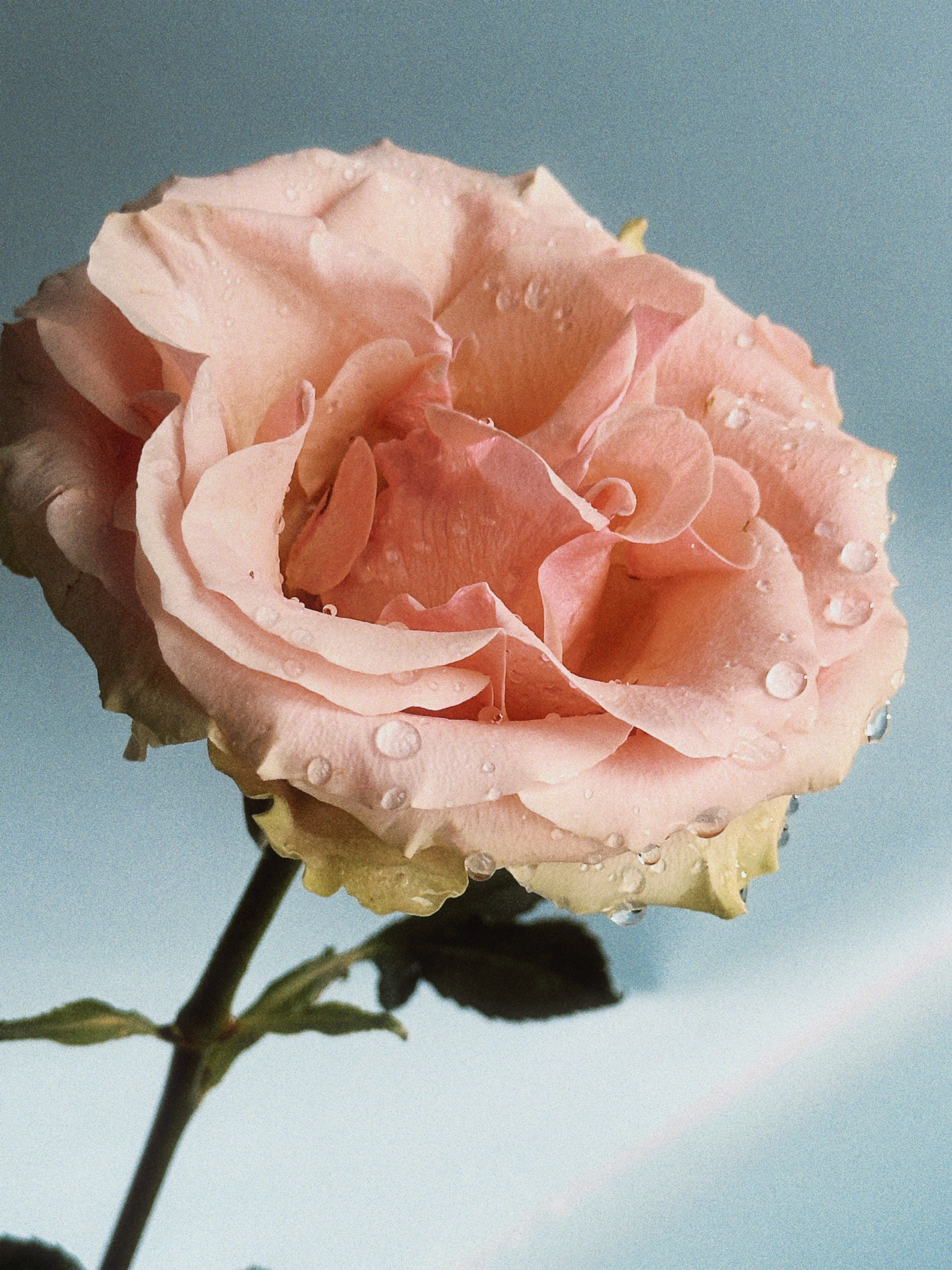 Предметная съёмка. Чувственный мобильный фотограф в Казани и Сочи Дьяченко Дарья