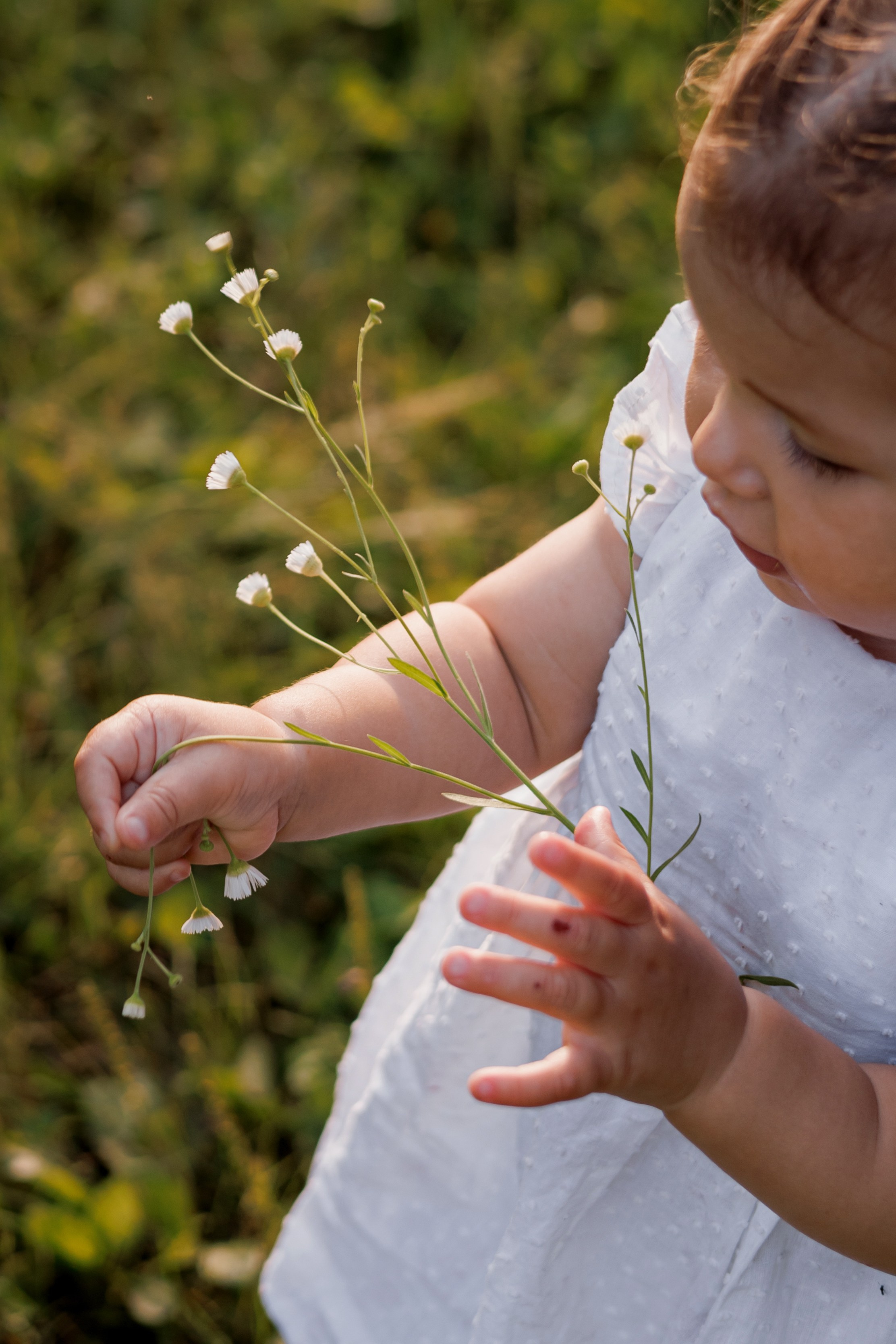 Детский фотограф биробиджан. Детский и семейный фотограф  Биробиджан Оля Светагор