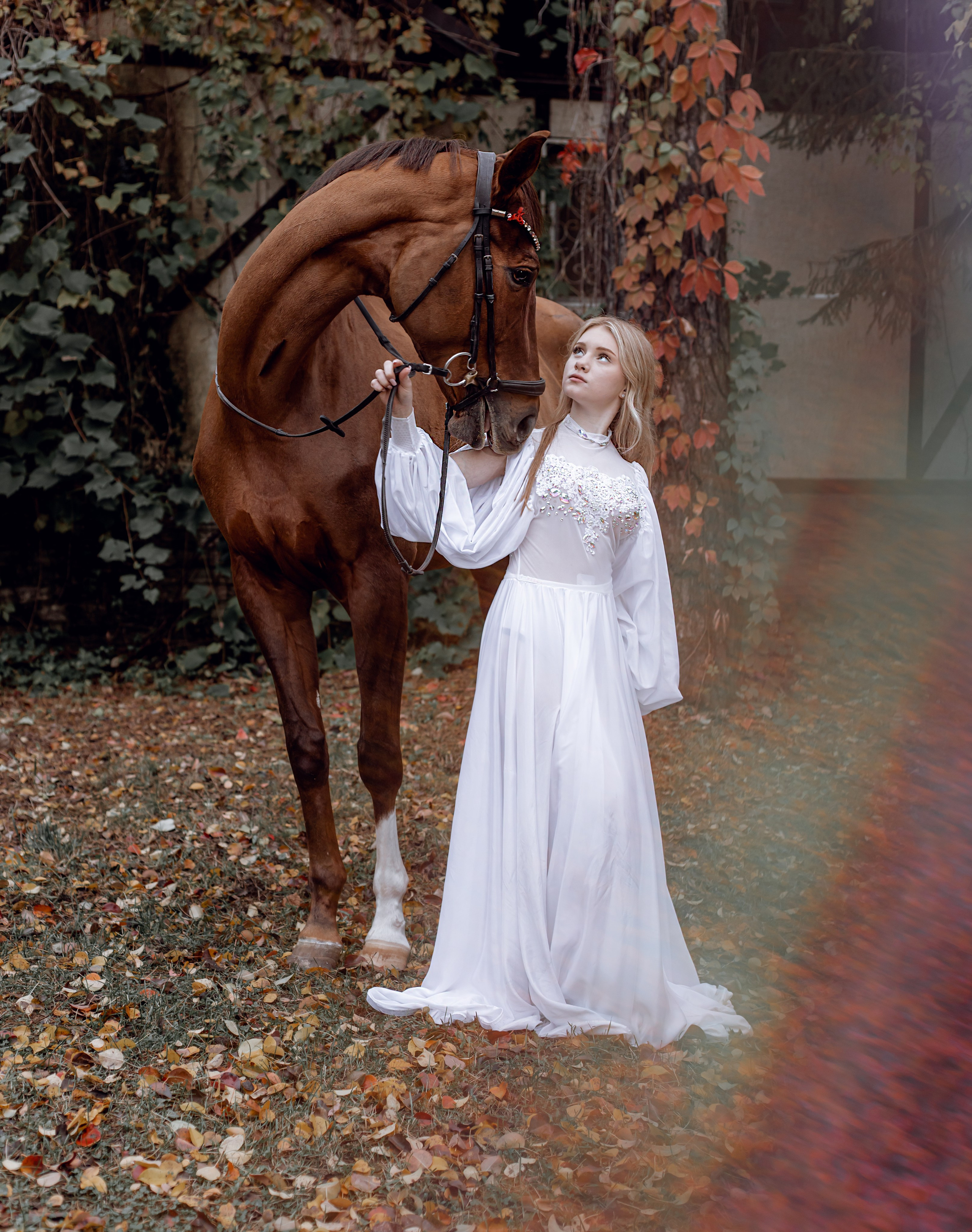 Диана конный клуб «Белая дача». Портретный и семейный фотограф в Москве Ирина Голубчина