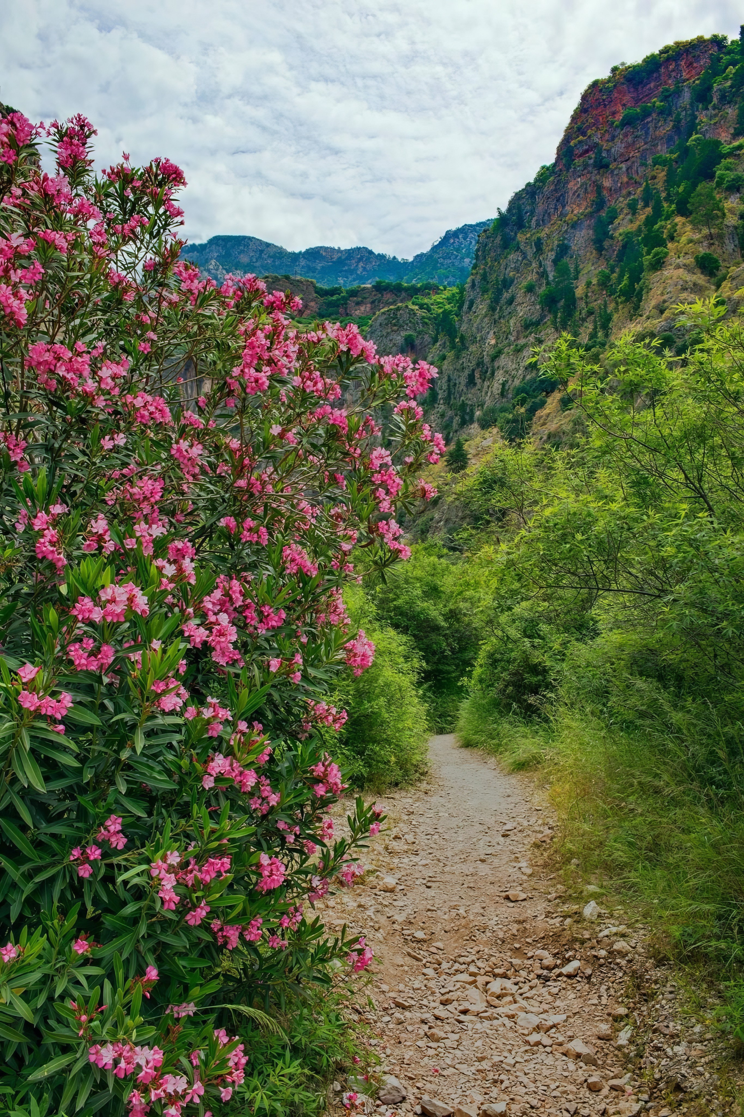 Творческие съёмки. Профессиональный фотограф Евгений Расторгуев