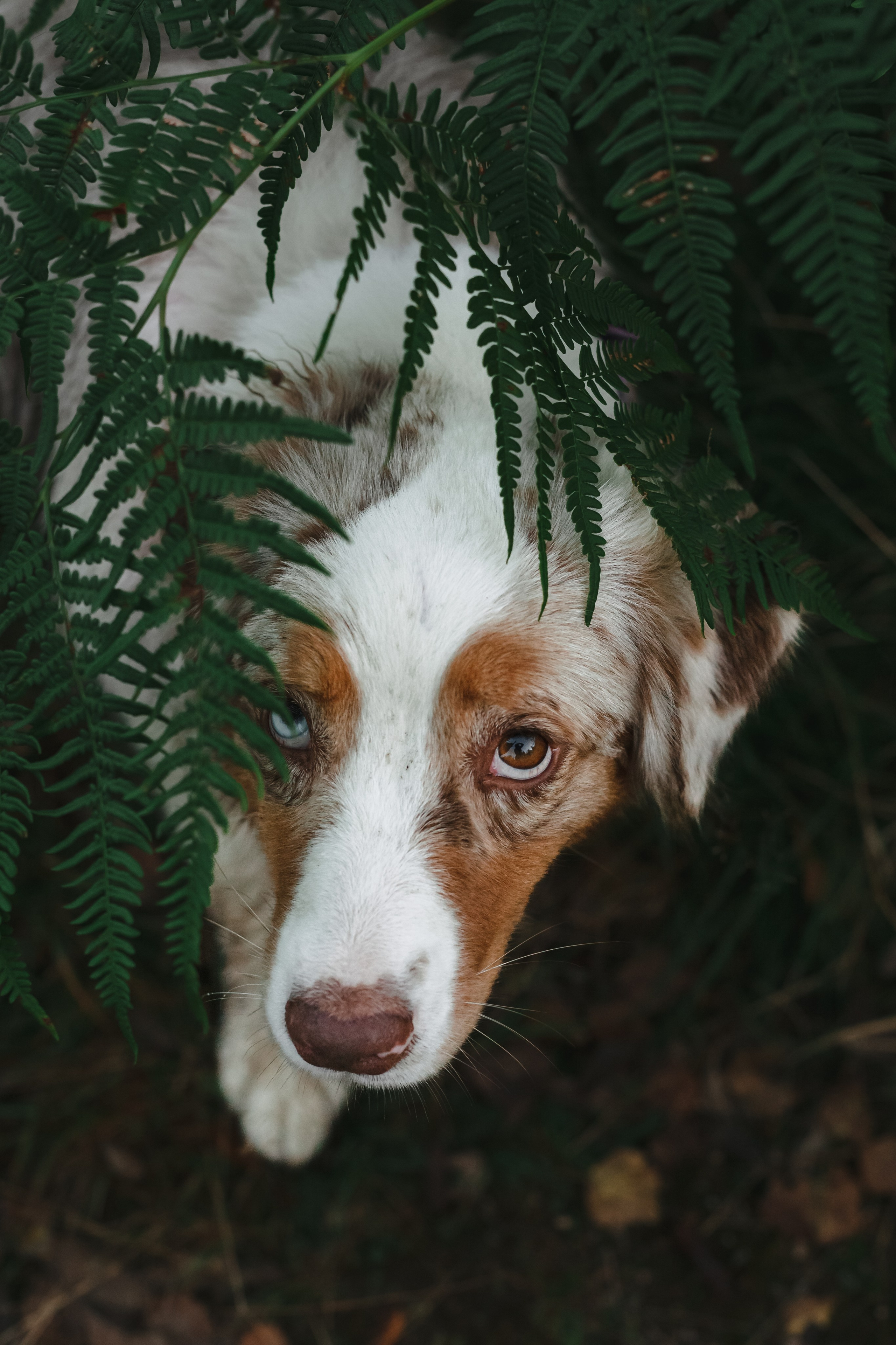Фотопрогулка в Ленобласти. Фотограф-анималист Татьяна Степанова