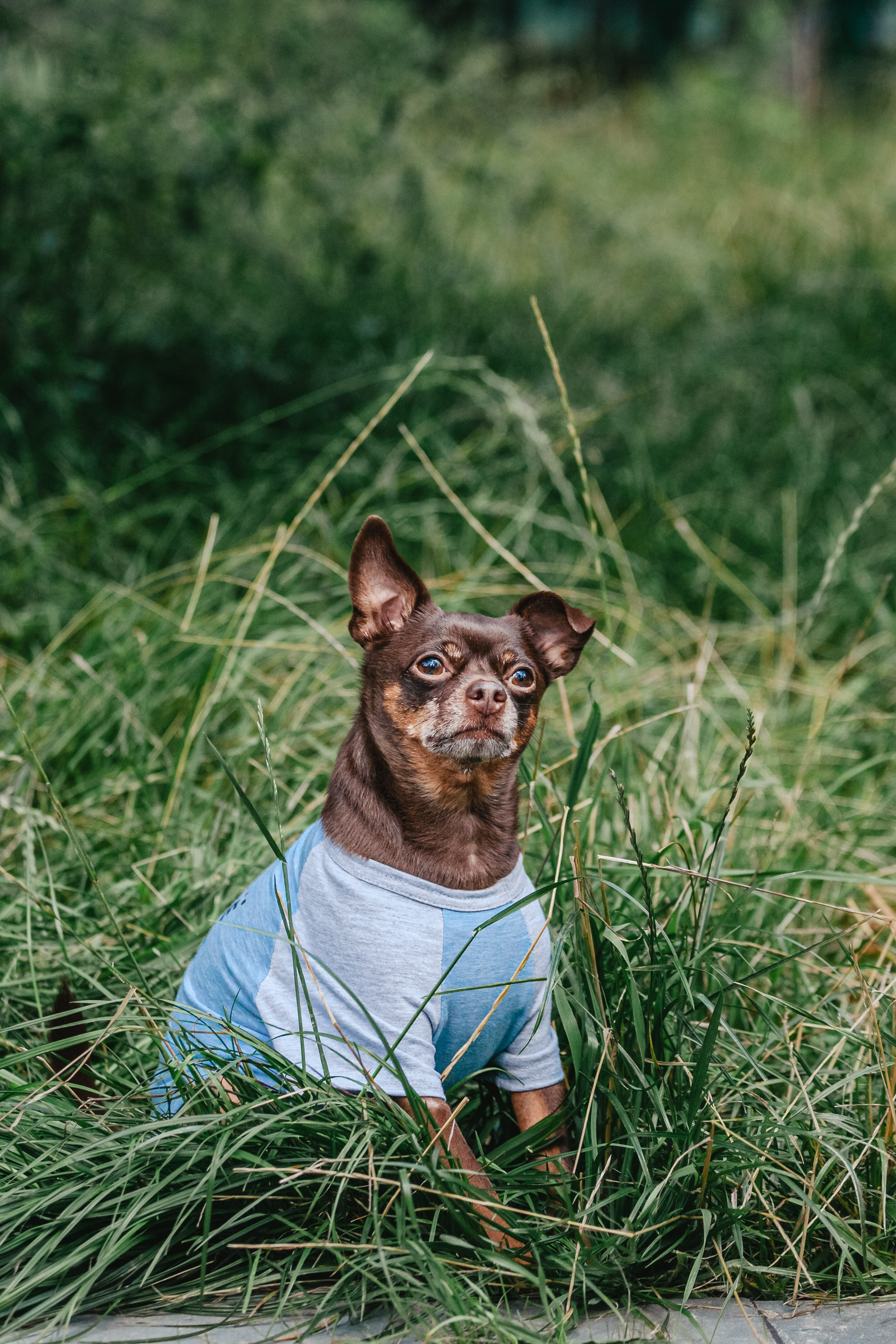 Восточный мост. Фотограф-анималист Татьяна Степанова