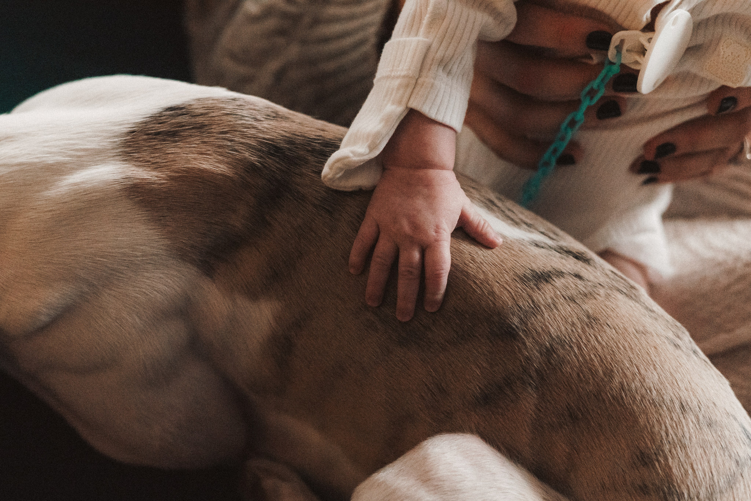 Zarina & Leah. Natalia Finch Photography — Family, Kids & Pet Photographer in Chicago, IL