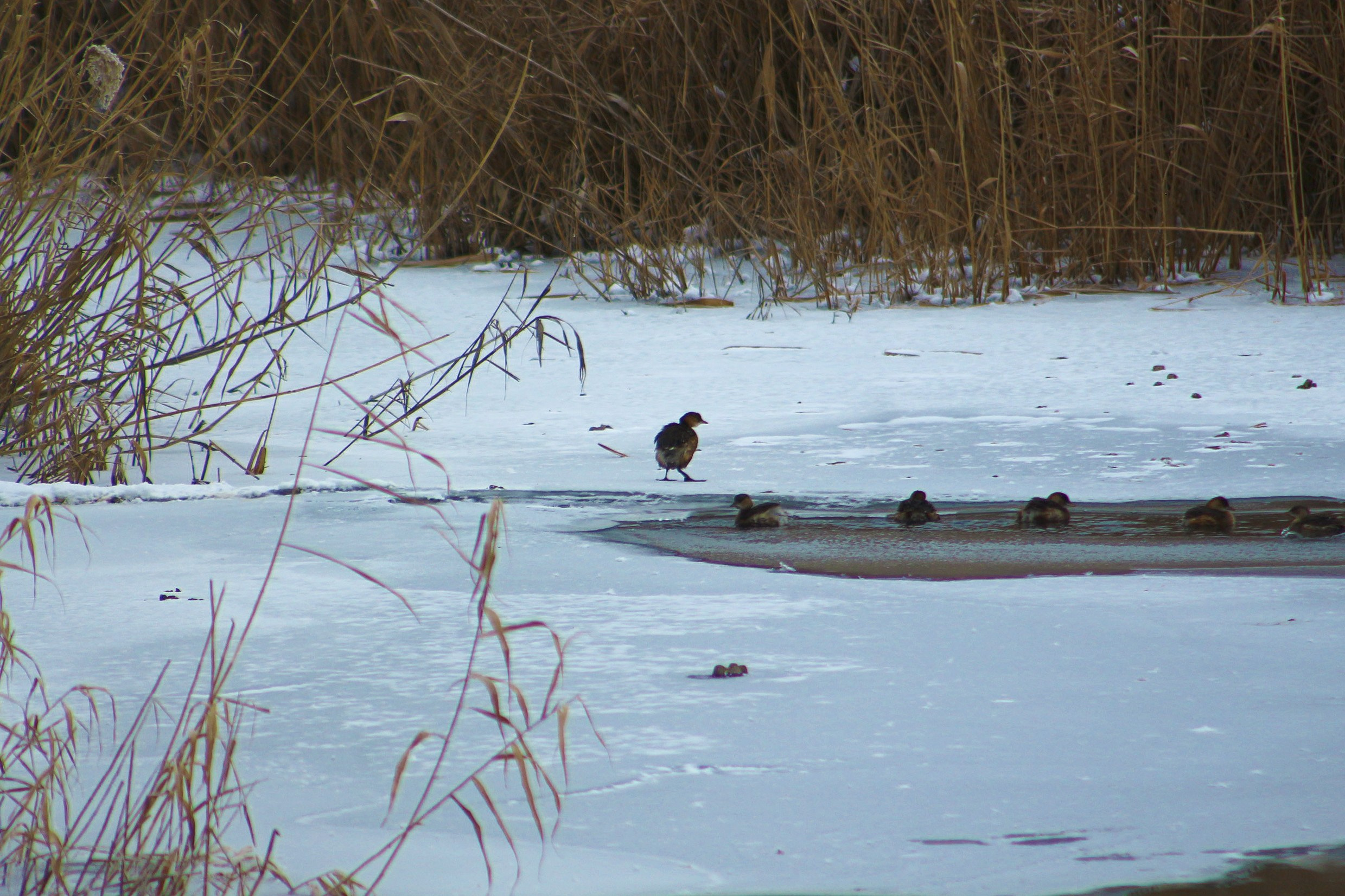 Пейзажи. Фотограф из Донецка Александр Турко