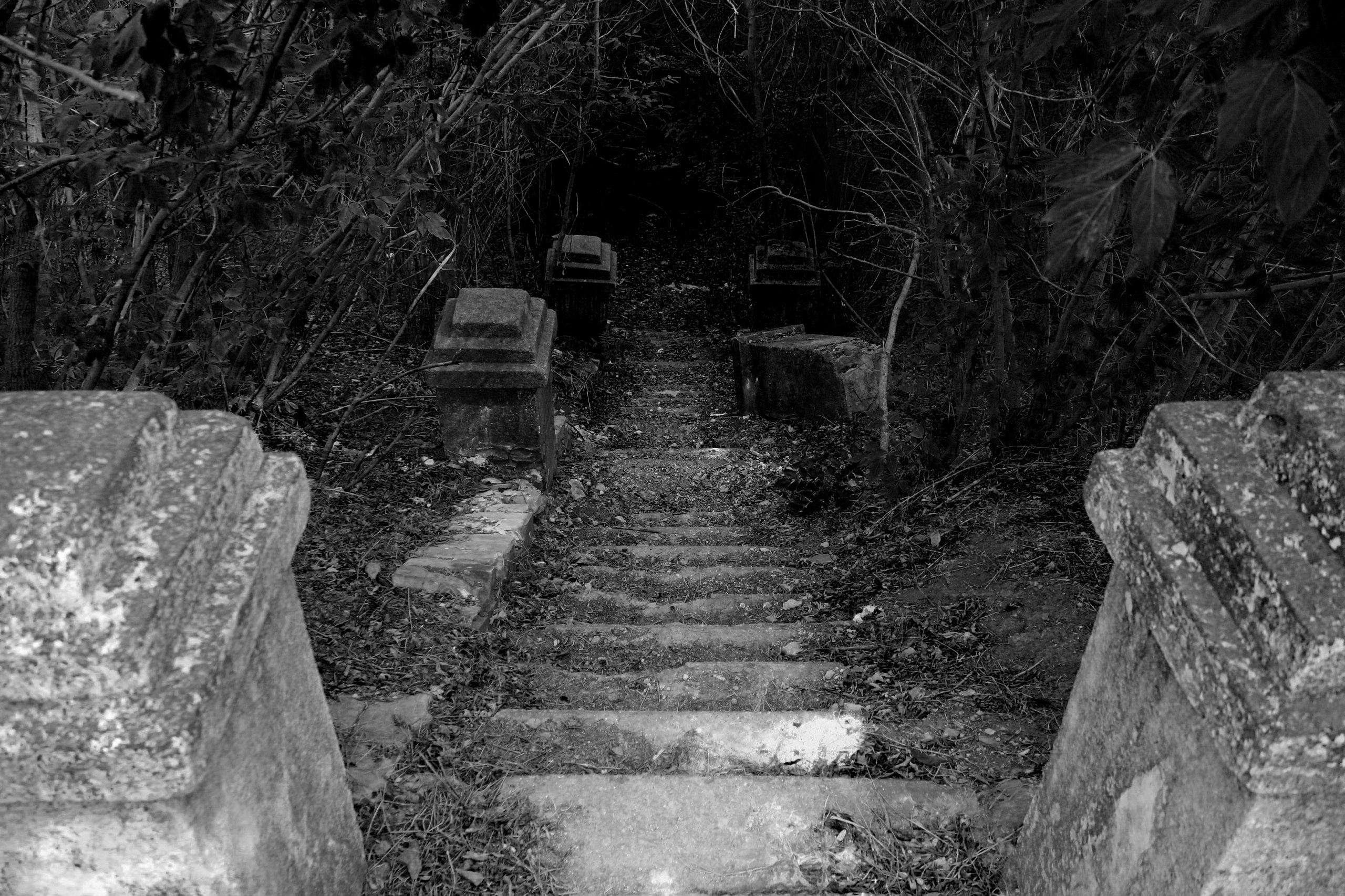 Черно-белое. Фотограф из Донецка Александр Турко