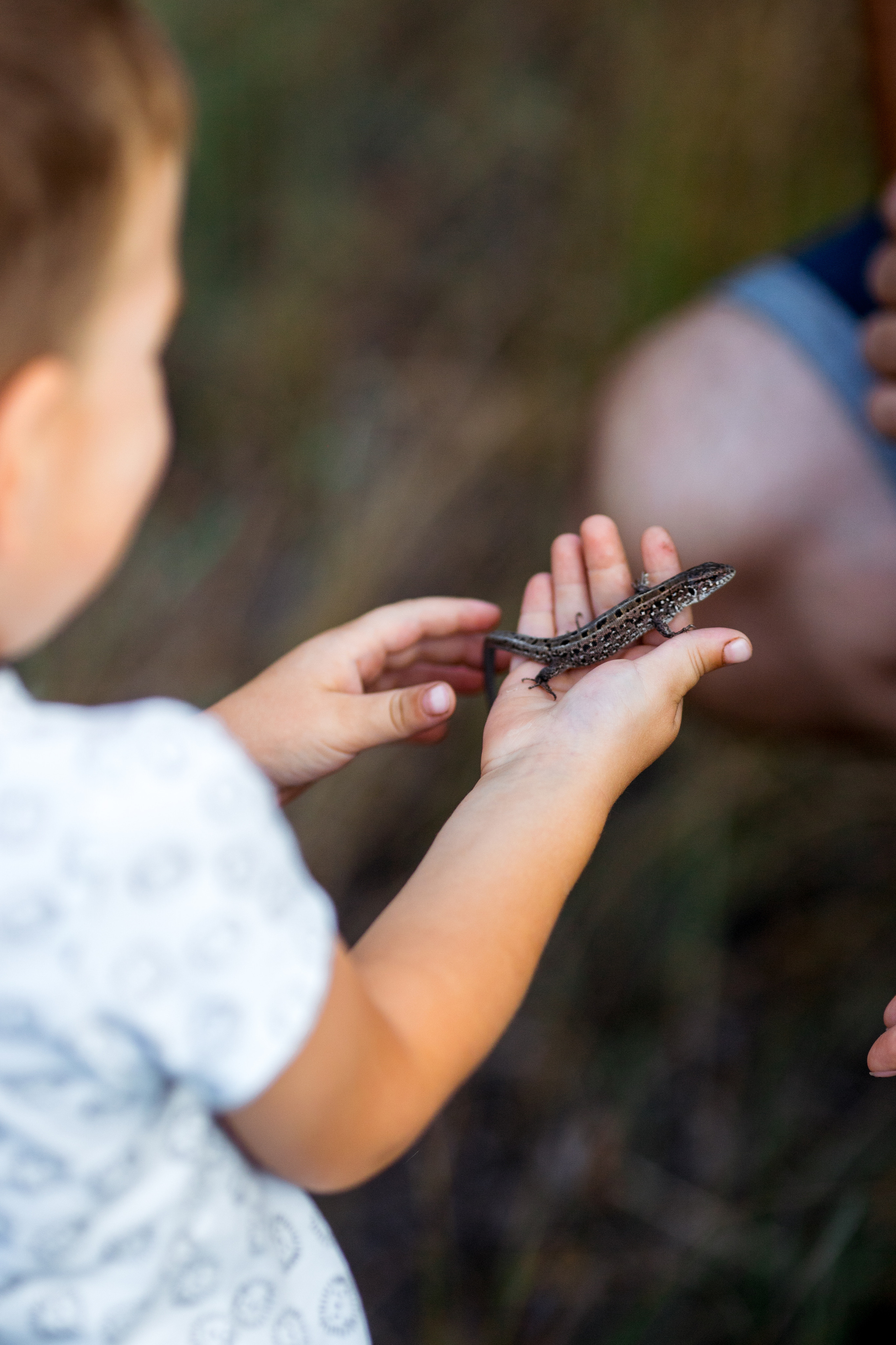 Леша+Лиза+Ваня. Свадебный и семейный фотограф в Михайловке Полина Крипс