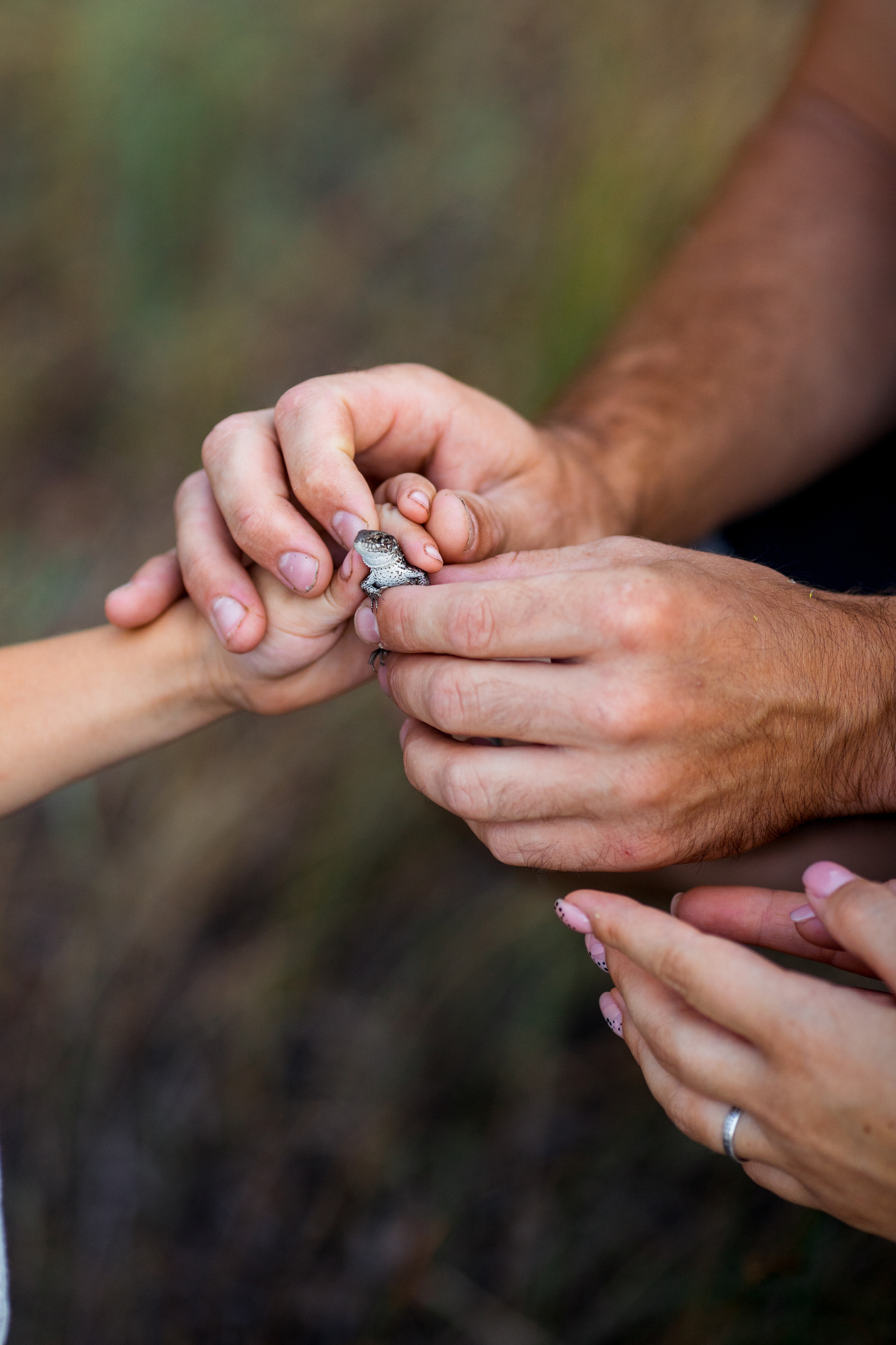 Леша+Лиза+Ваня. Свадебный и семейный фотограф в Михайловке Полина Крипс