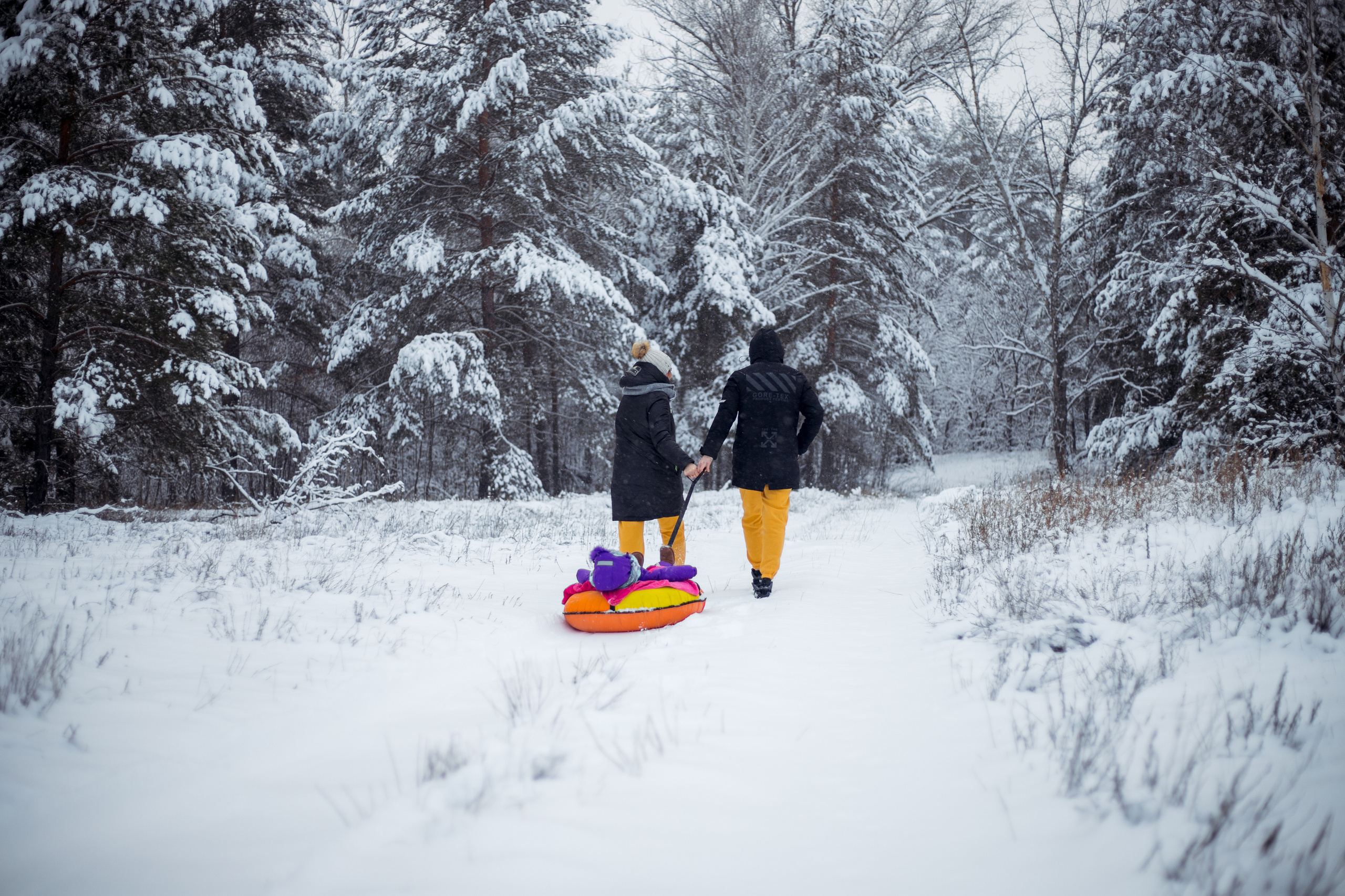 Артем+Алена+Злата. Свадебный и семейный фотограф в Михайловке Полина Крипс
