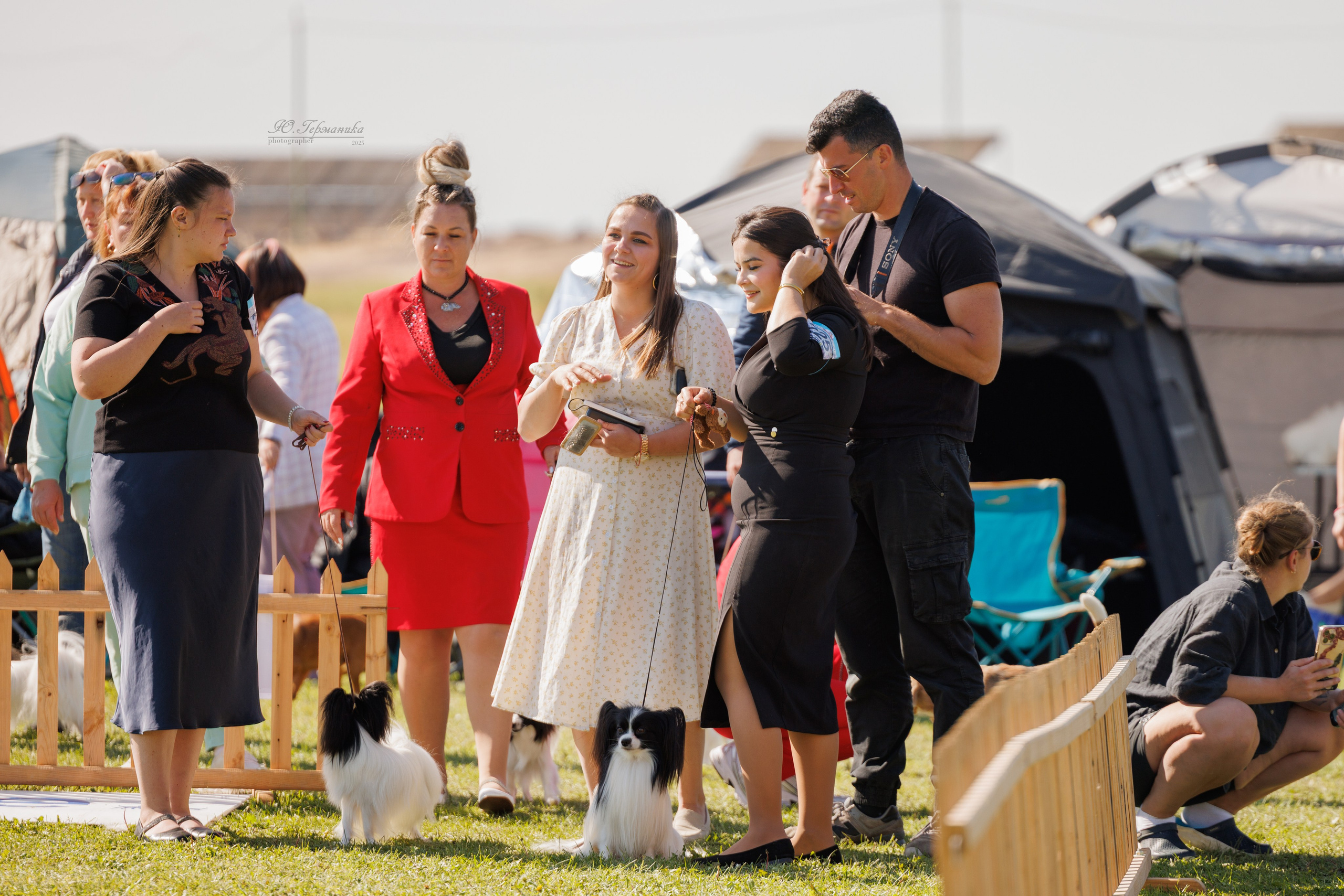 Ереван 14-16.10.2025. Фотограф-анималист Юлия Германика