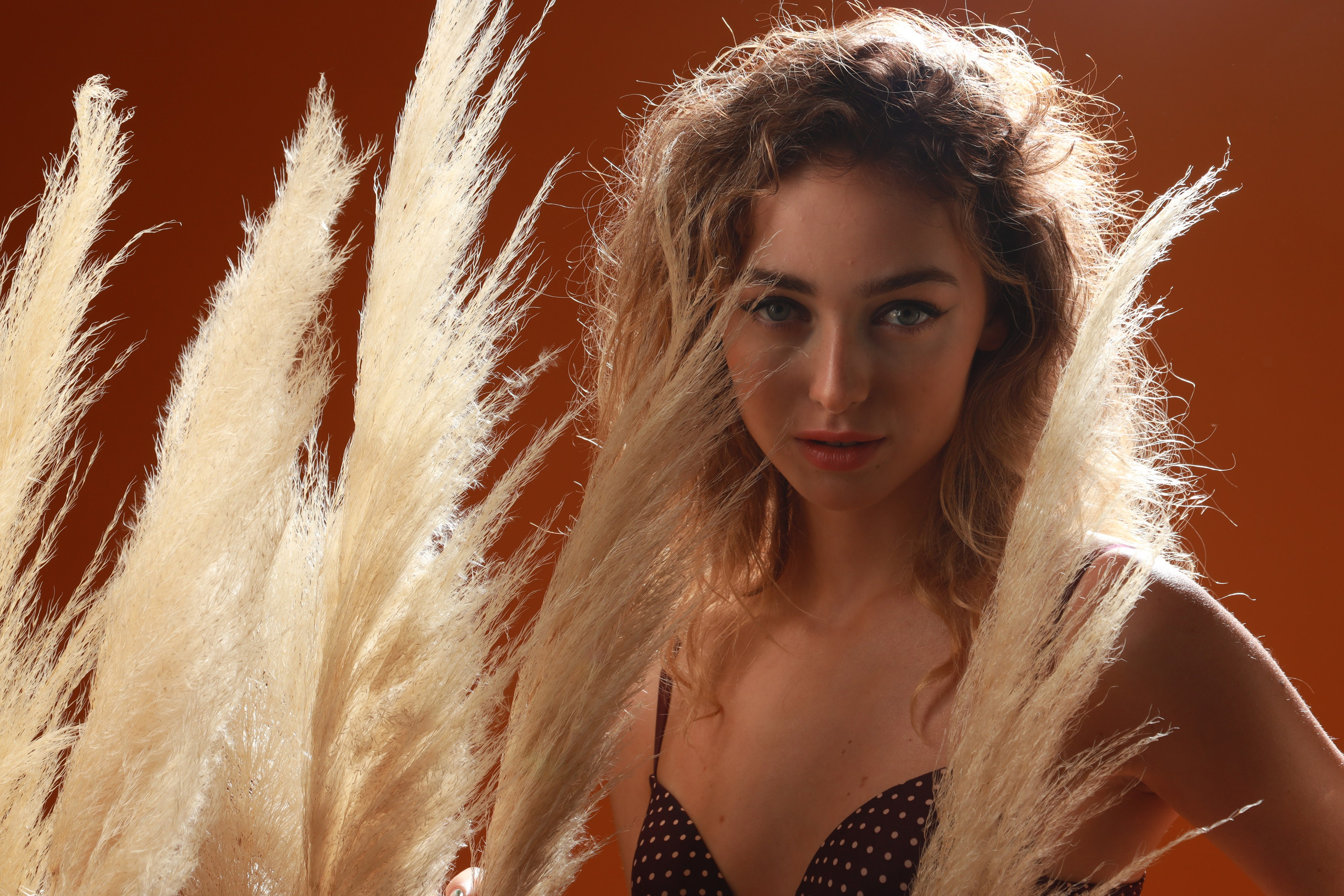 Солнце. Съемка в студии под ваш запрос, студийные съемки, фотографии архитектурных объектов — Александр Евстигнеев — фотограф Москва