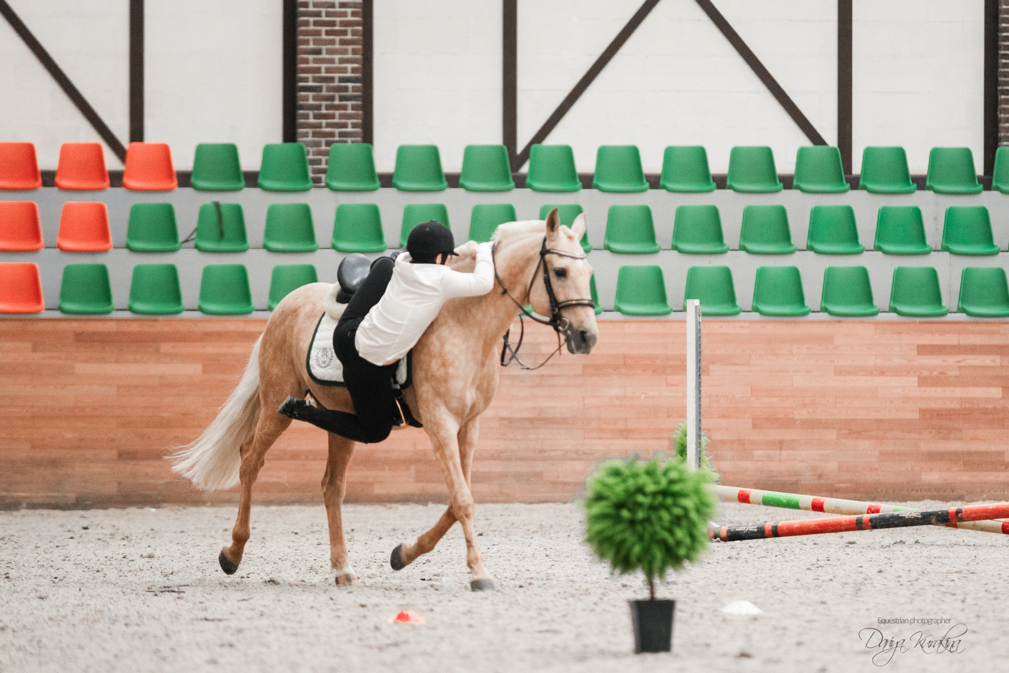 8-я международная выставка Конная Россия. Конный фотограф Куракина Дарья • Фотосессии с лошадьми