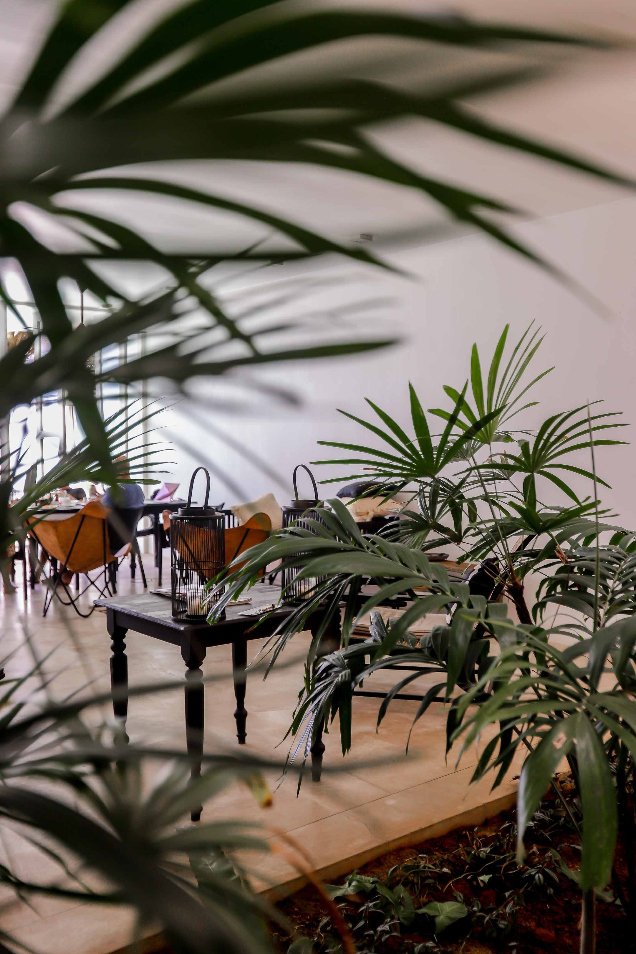 Отель пляж Хабарадува. Фотограф на Шри-Ланке