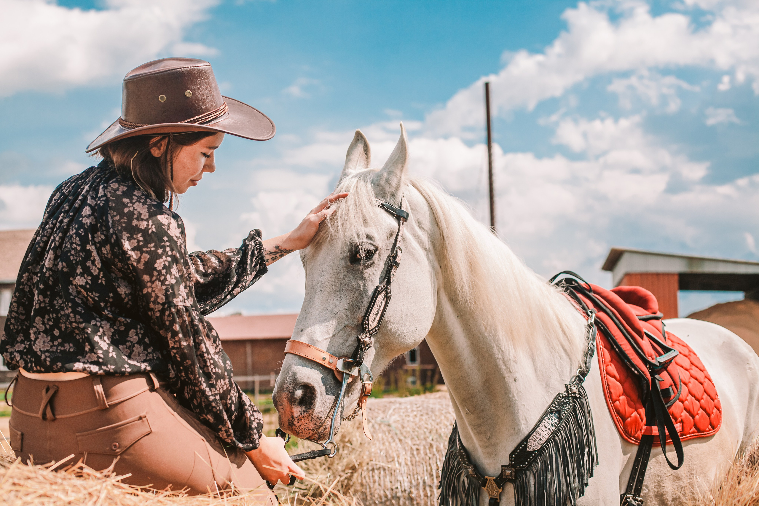 Фотограф-анималист Татьяна Степанова