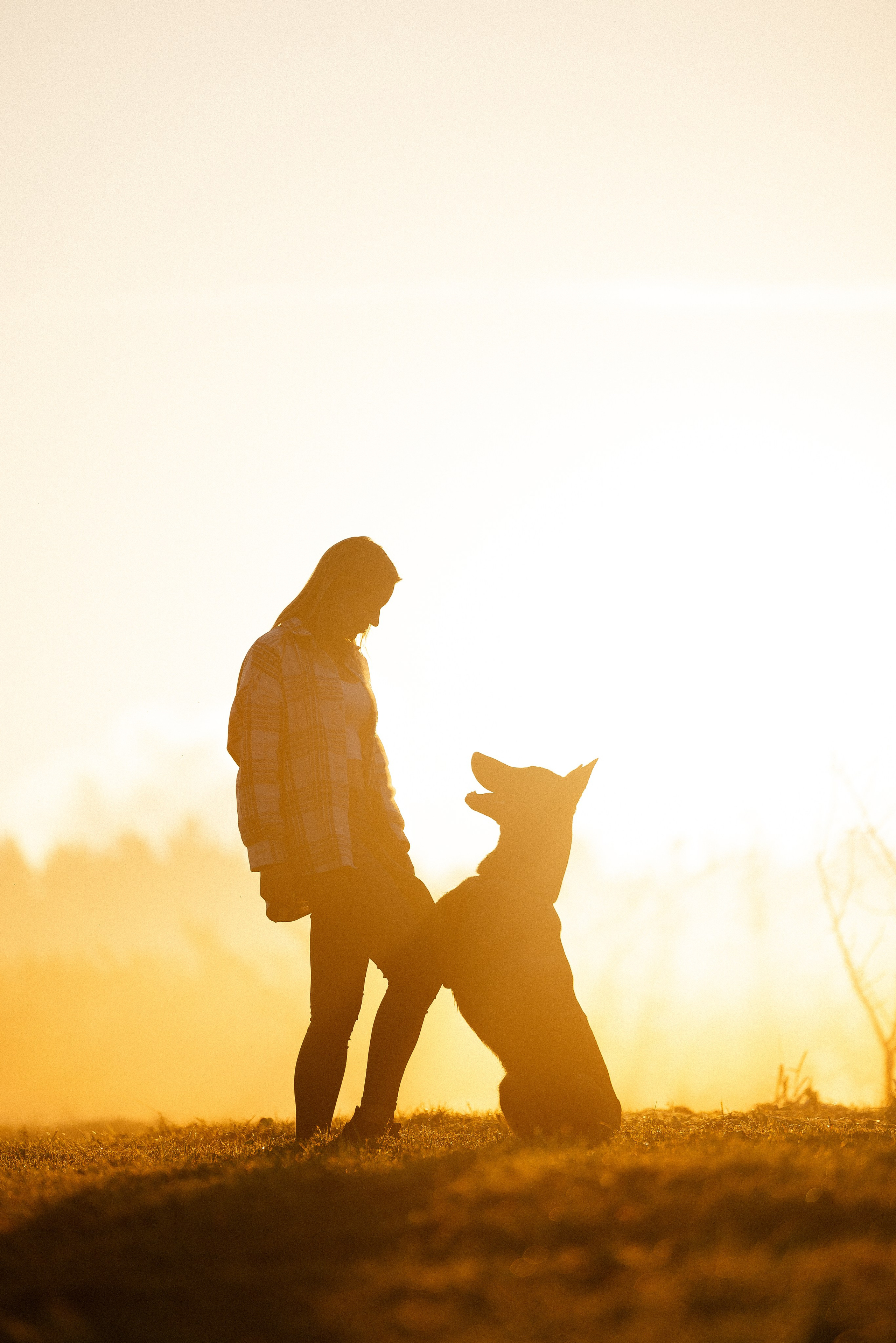 Галина и Кодекс. Фотограф и видеограф анималист Аганина Дарья