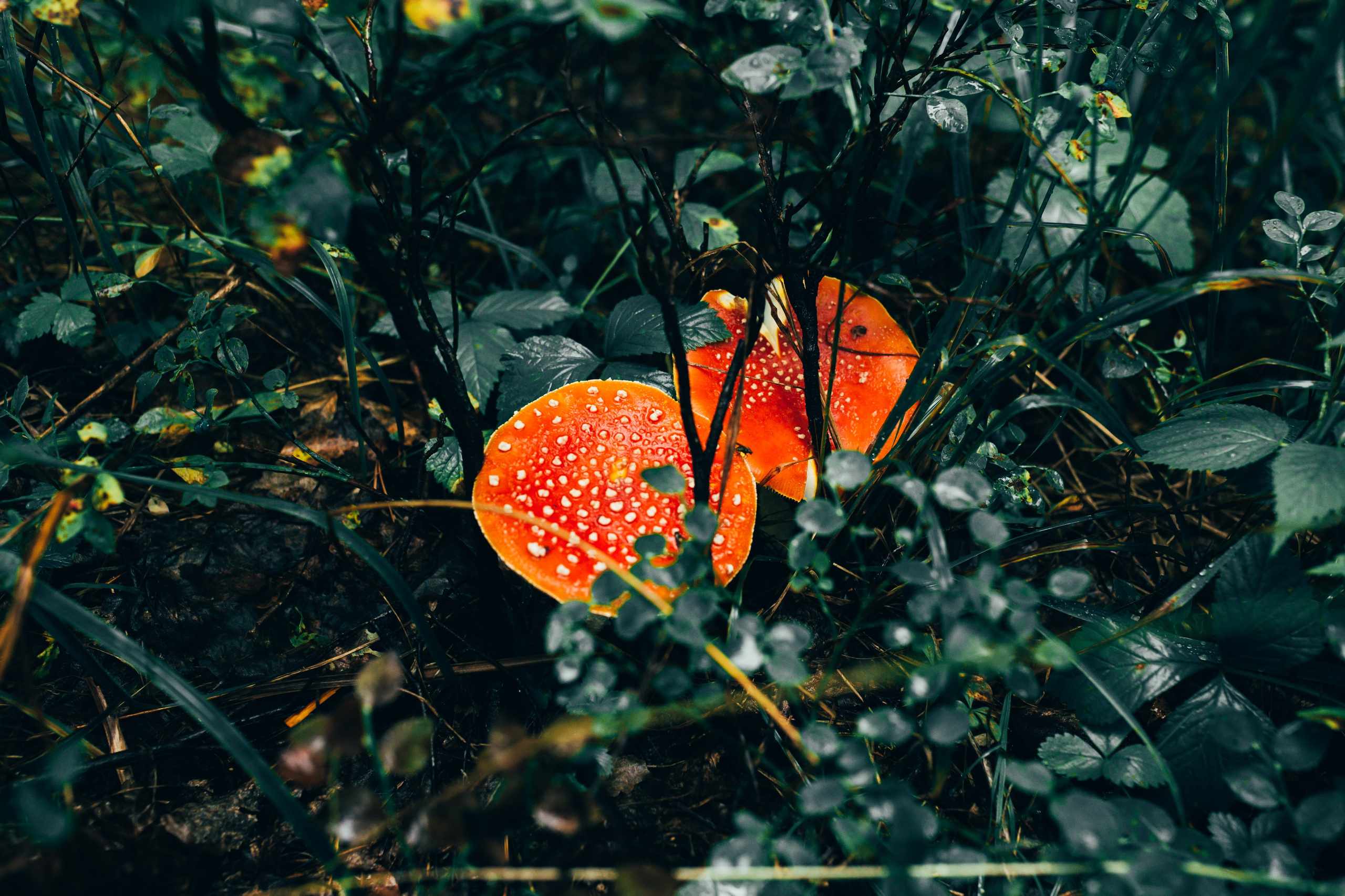 Travel. Фотограф в Челябинске — Дмитрий Носов