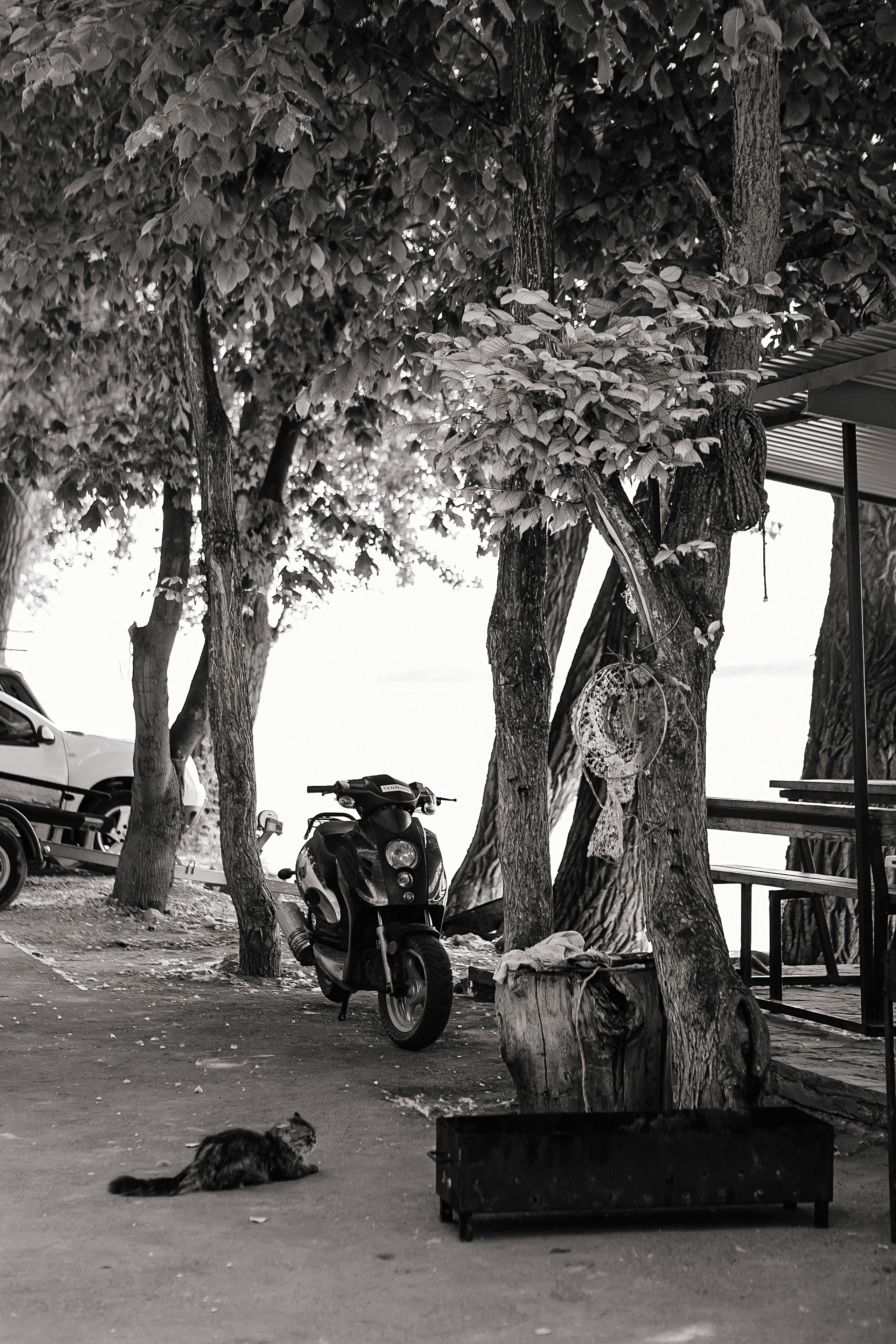 Anastasia & Aleksey. Фотограф в Самаре, Москве Снежана Фадеева