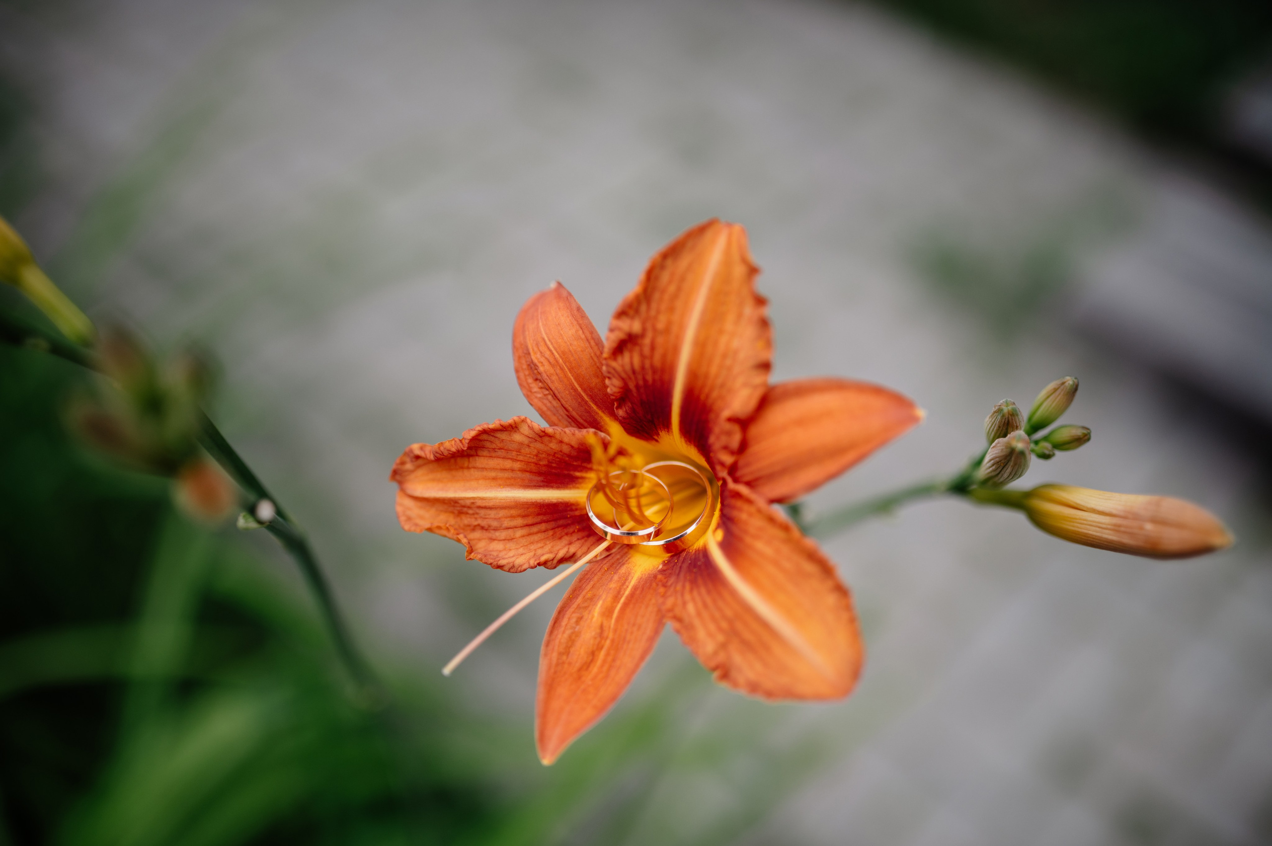 Nikita & Sveta. Свадебный и индивидуальный фотограф Никита Роут | Москва