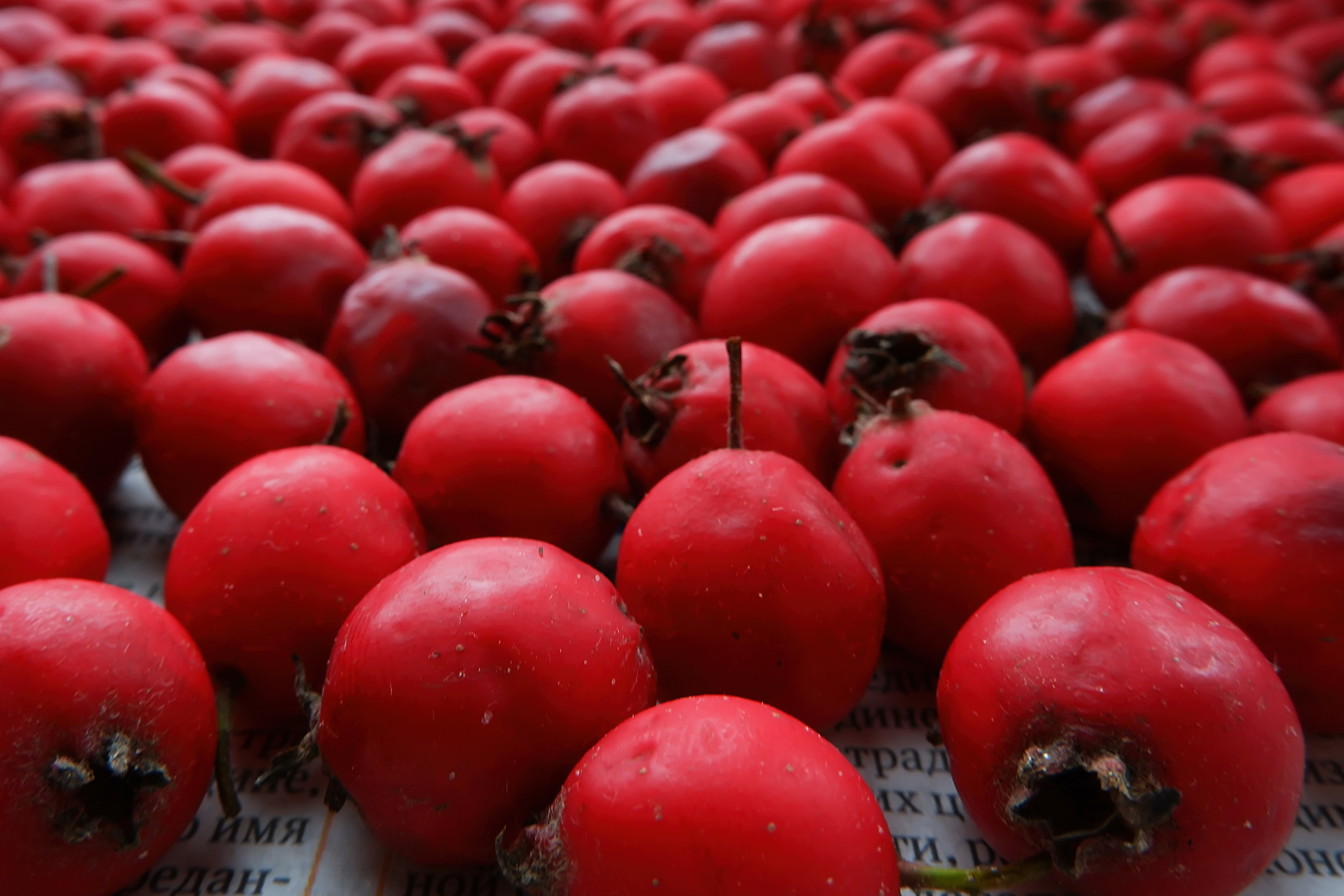 Предметная и фуд-фотография (Food and subject photography). Фотограф (photographer) Lischinski Vitaliy
