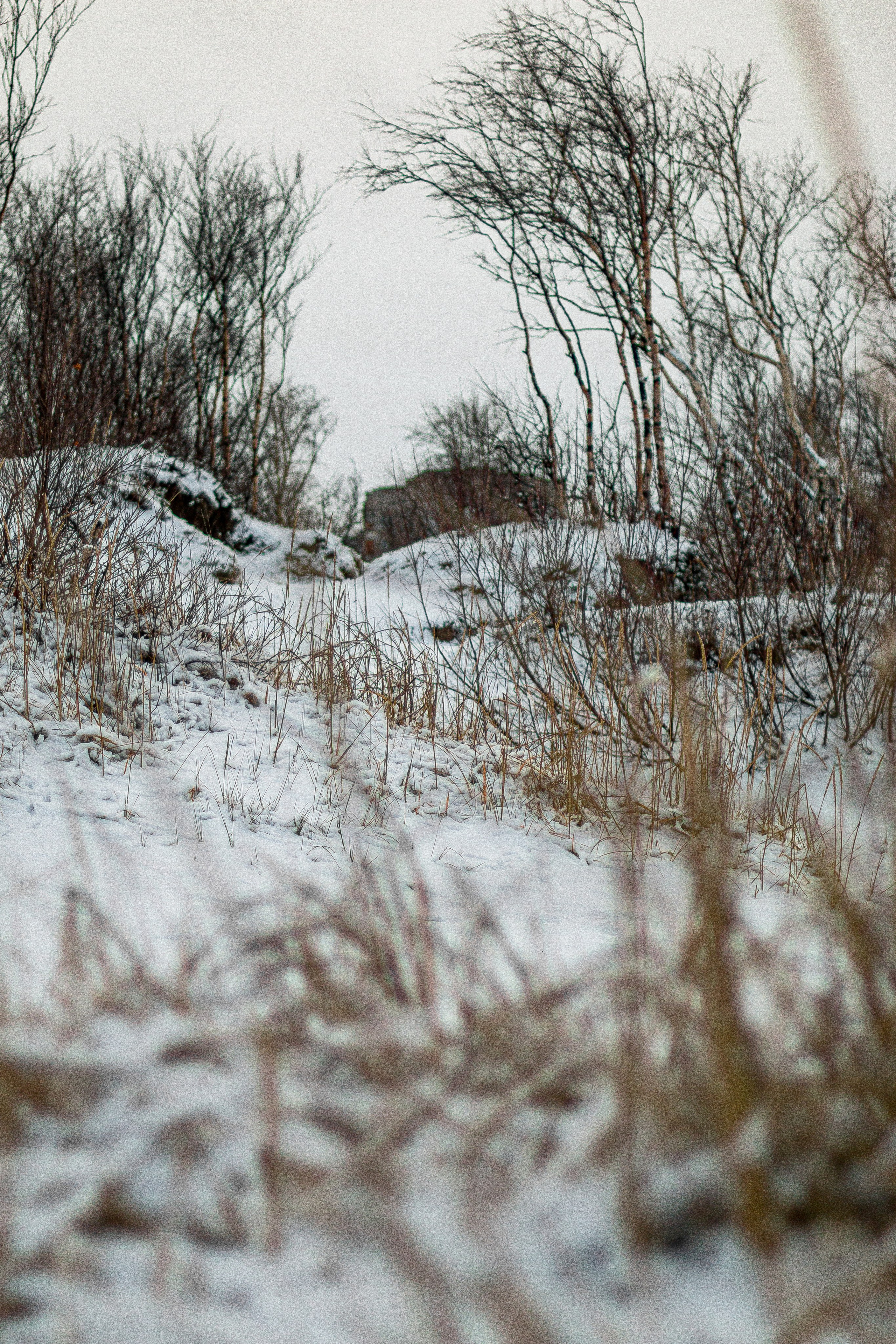 Русский север, Белое море, Архангельск. Фотограф в Сочи