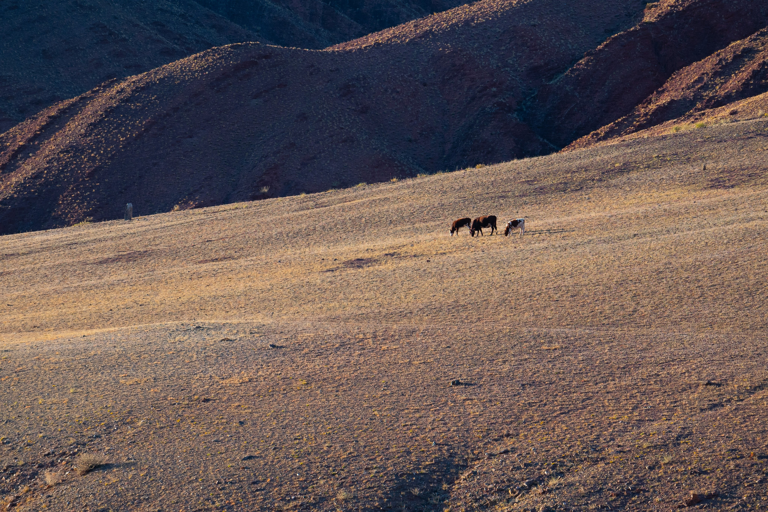 Горный Алтай. Фотограф Антон Денисенко: Портрет, Документалистика, Пейзаж. Москва