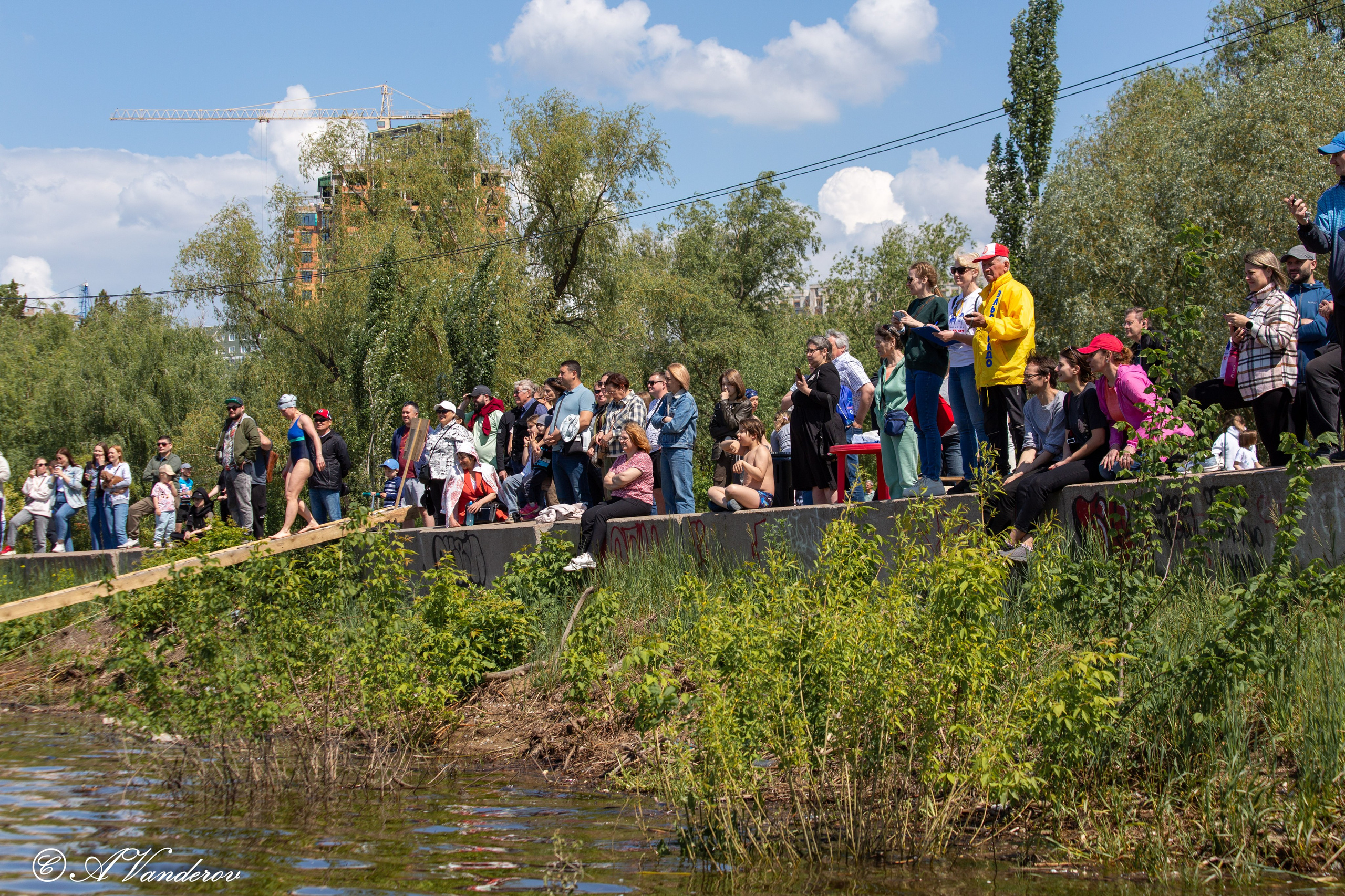 Заплыв 02.06.2024. Фотограф Омск | Александр Вандеров