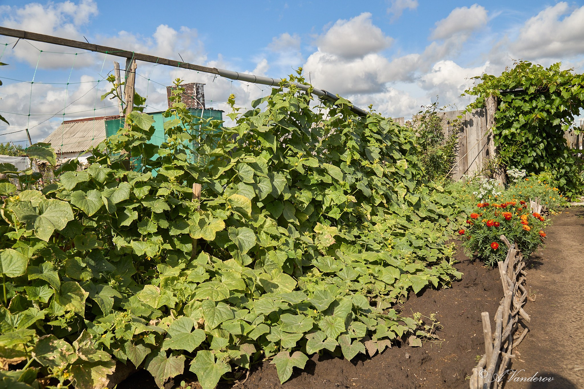 Село Савкино Баганского района Новосибирской области. Фотограф Омск | Александр Вандеров
