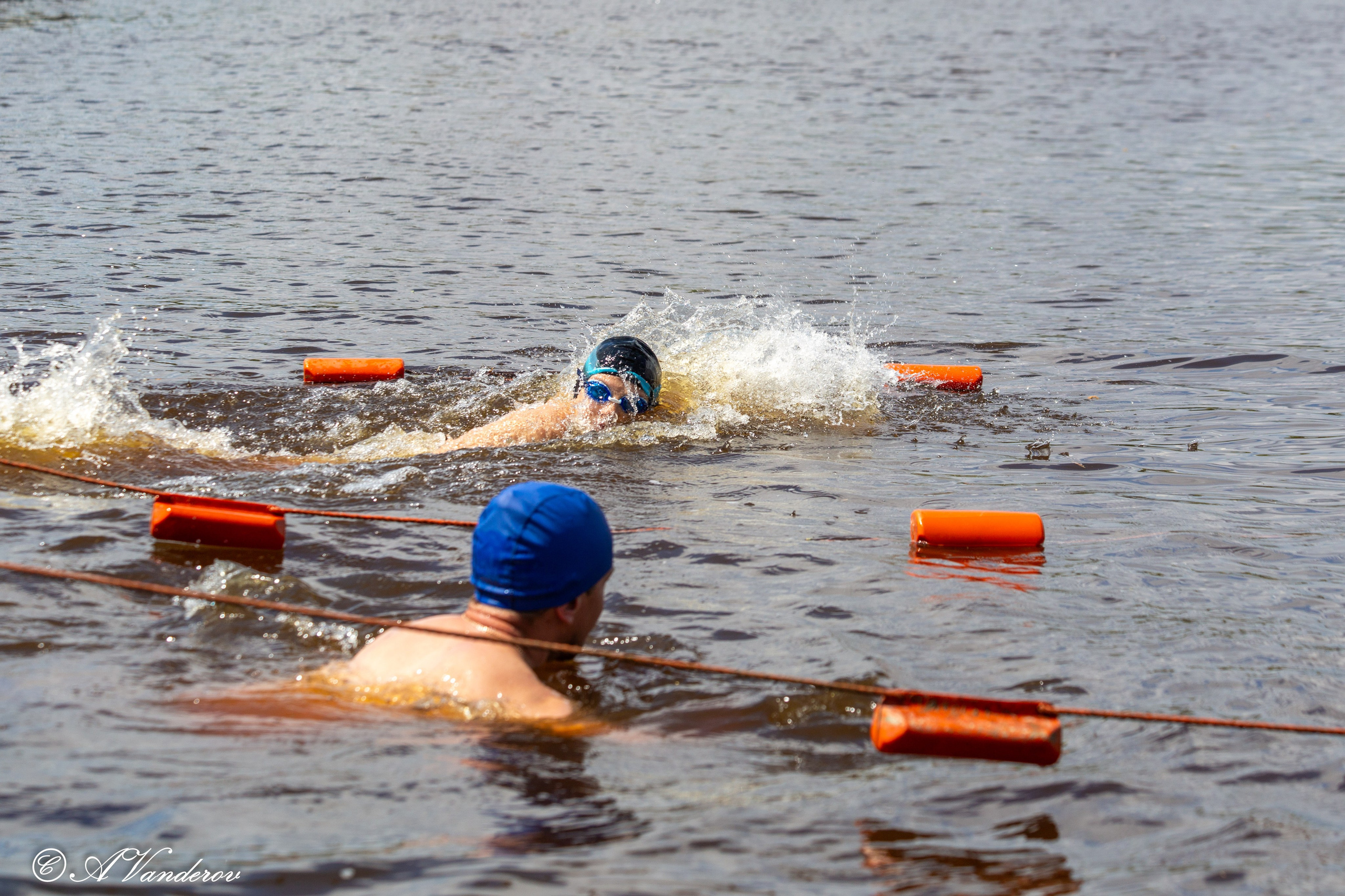 Заплыв 02.06.2024. Фотограф Омск | Александр Вандеров