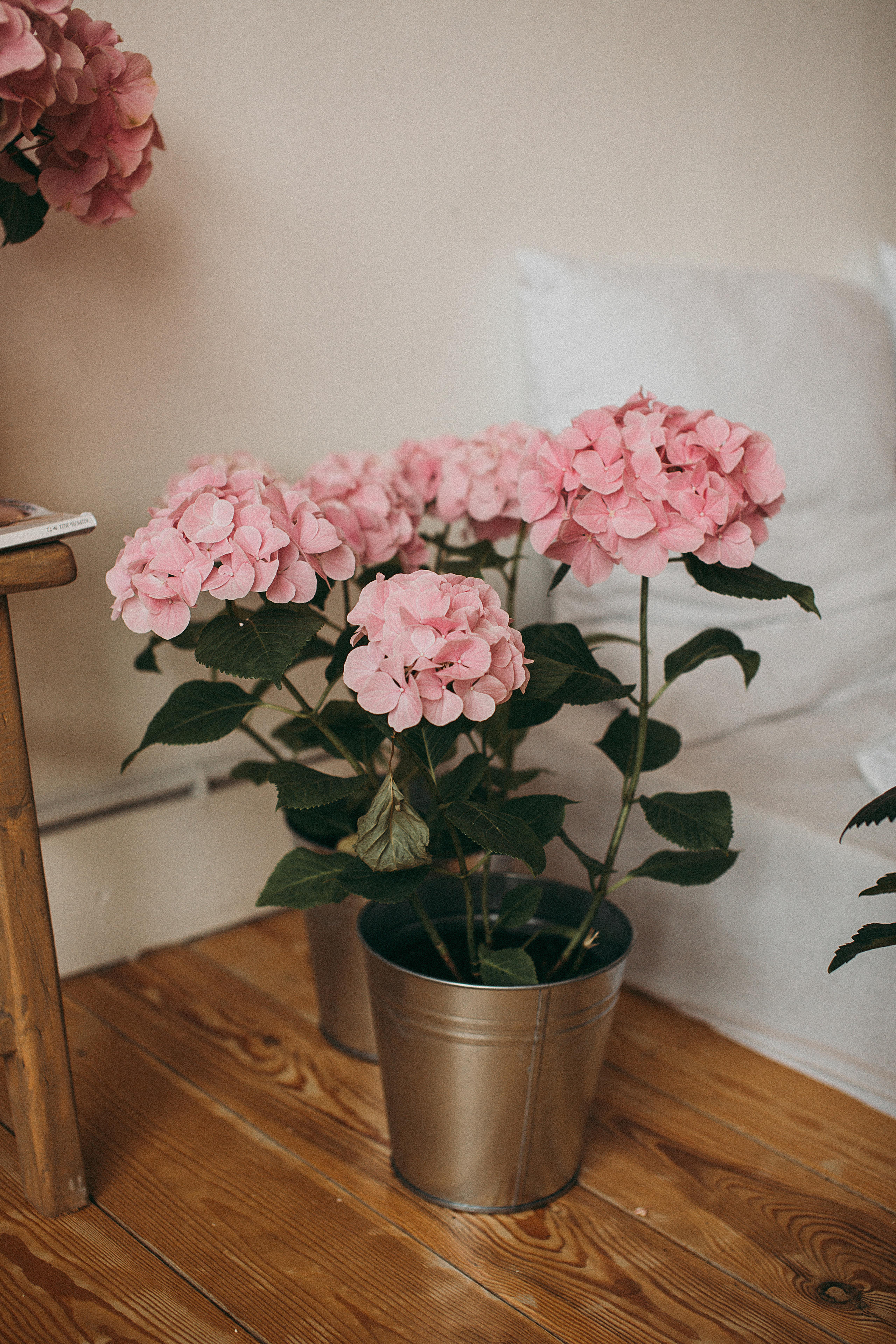 В ожидании. Свадебный и семейный фотограф/видеограф в Краснодаре Наталья Осинская