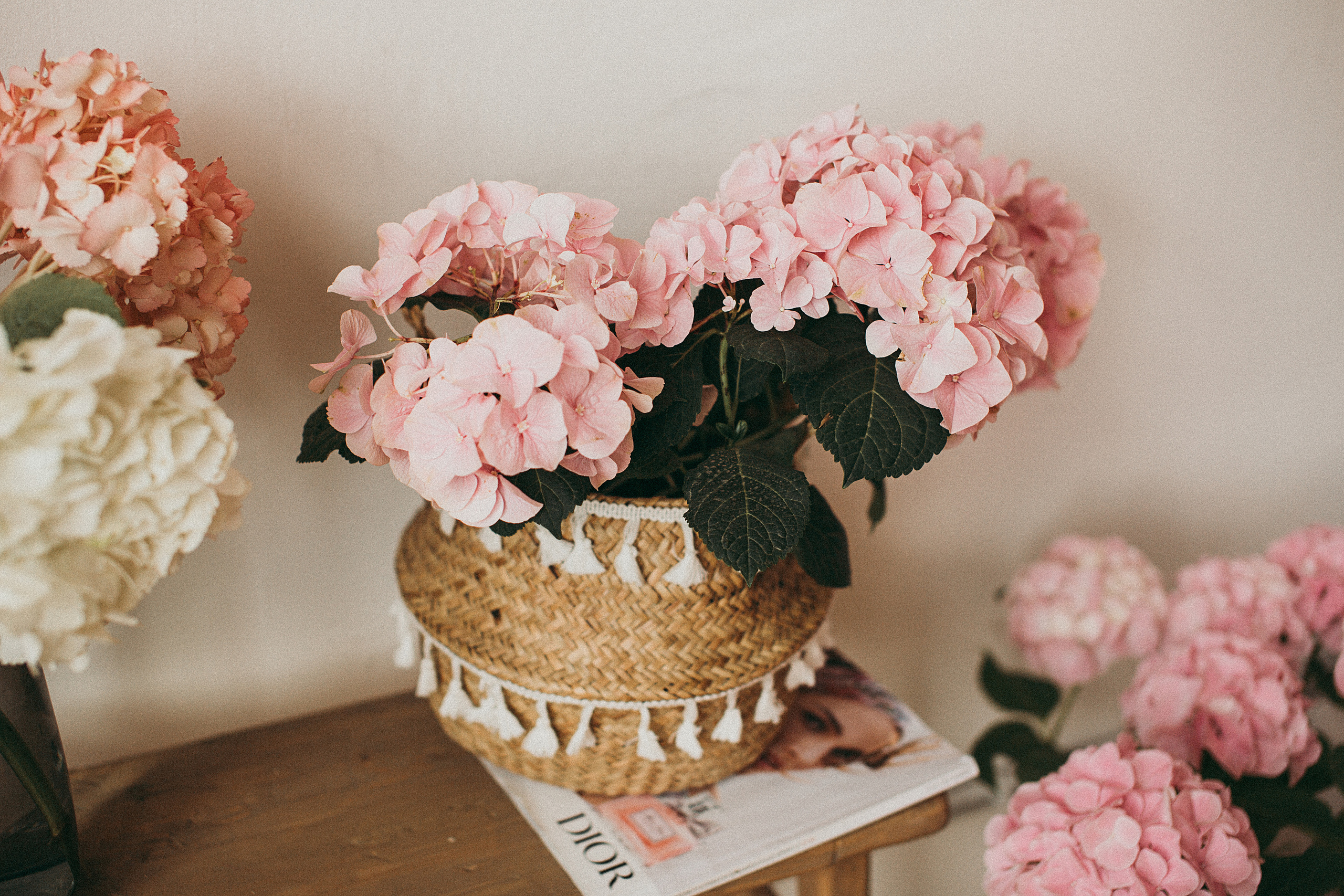 В ожидании. Свадебный и семейный фотограф/видеограф в Краснодаре Наталья Осинская