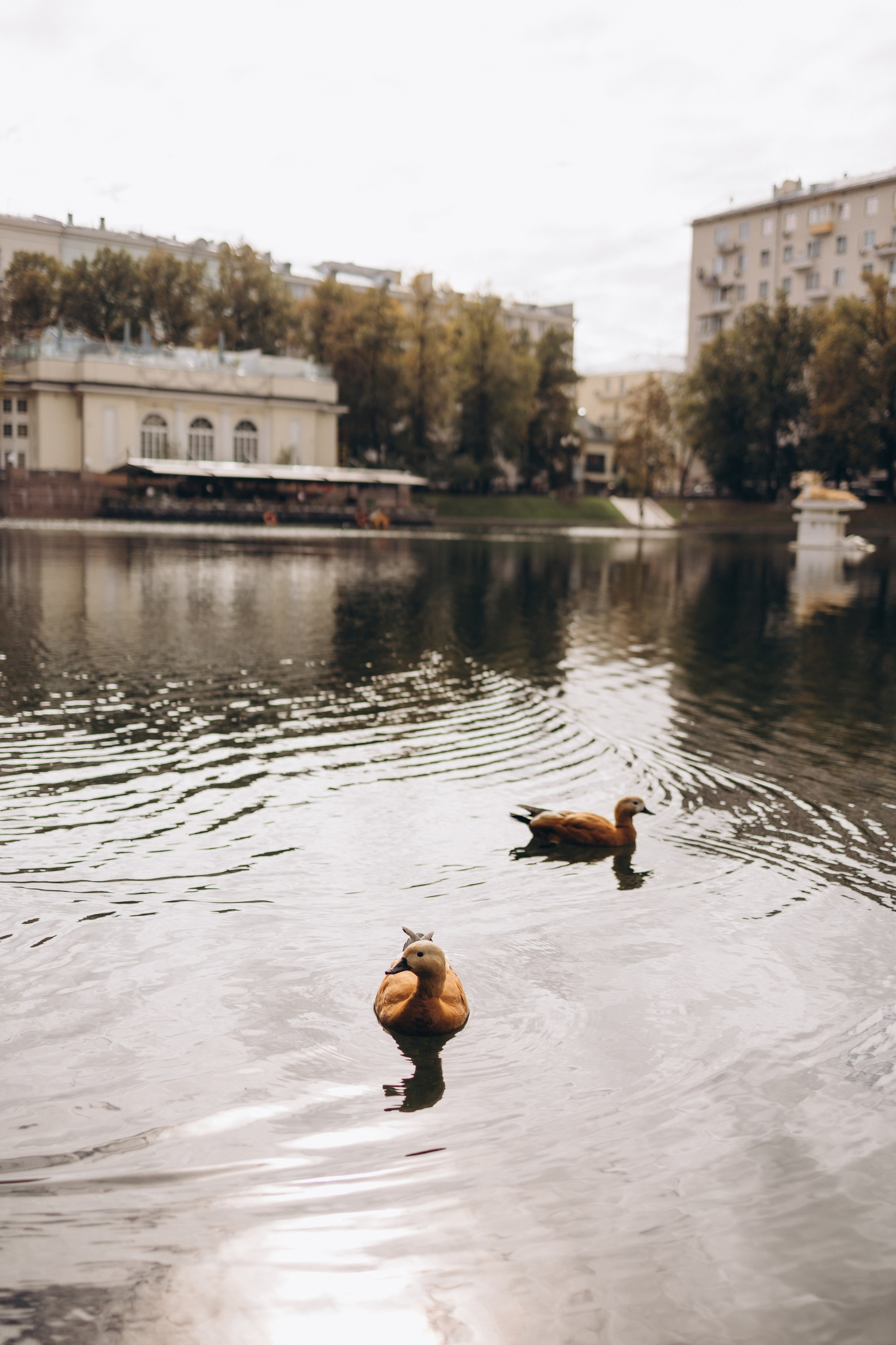 Прогулка мамы с дочкой. Семейный фотограф в Москве Аникина Наталья