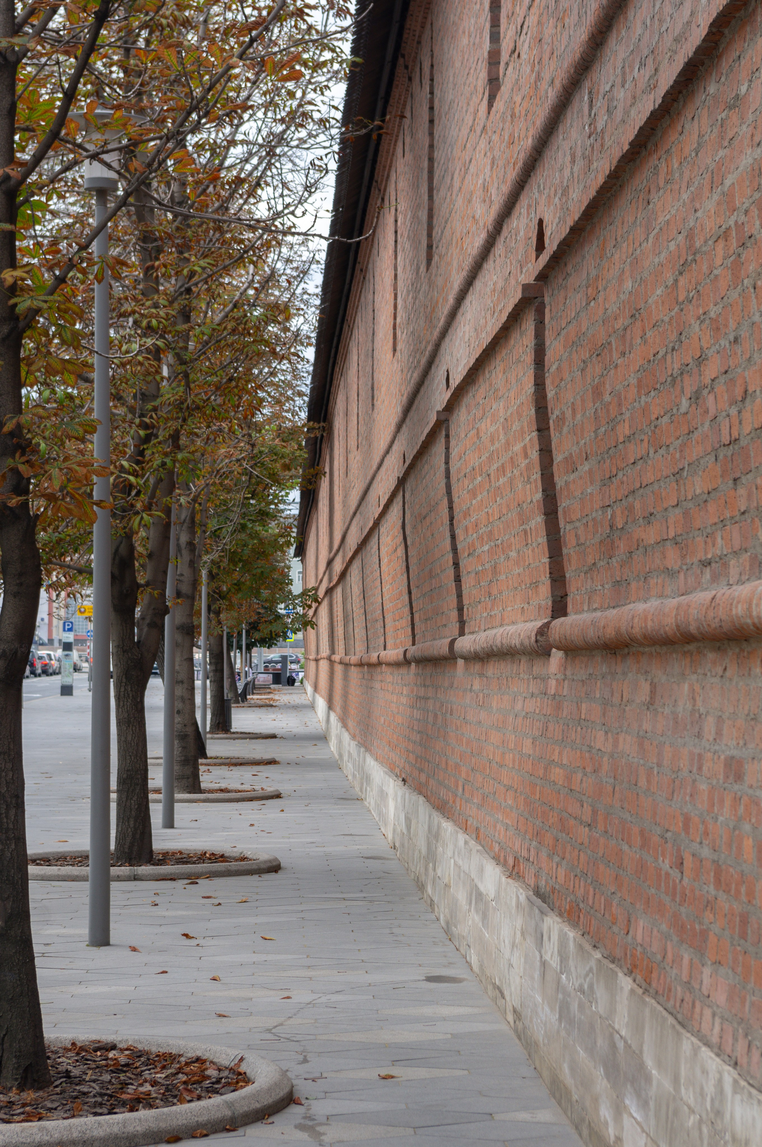 20200824 Вокруг Кремля с братом. Дмитрий Ремизов. Фотография, как хобби