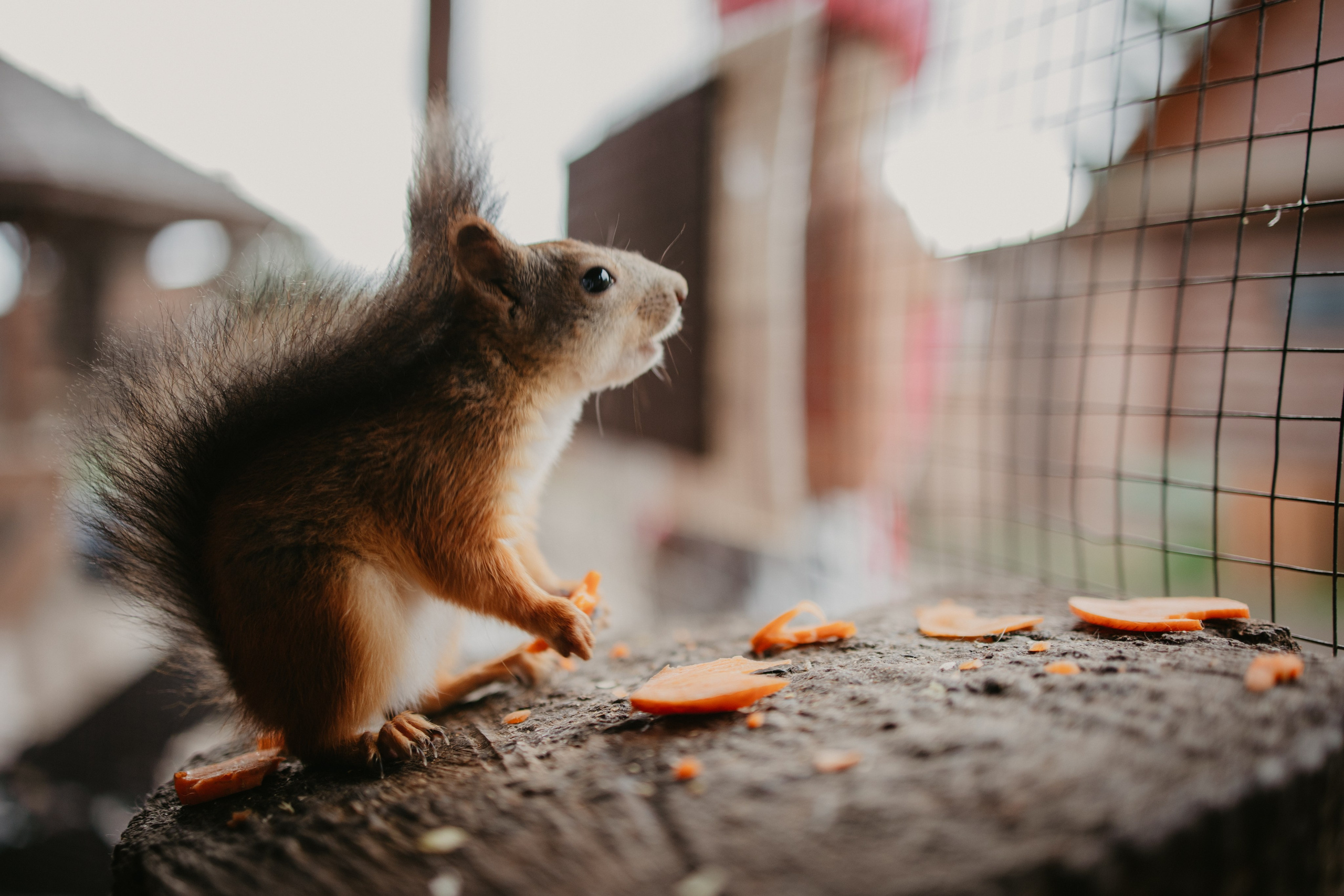 Лера 2 годика. Репортажный и портретный фотограф в Санктпетербурге. Видиосъемка мероприятий в Санкт-Петербурге