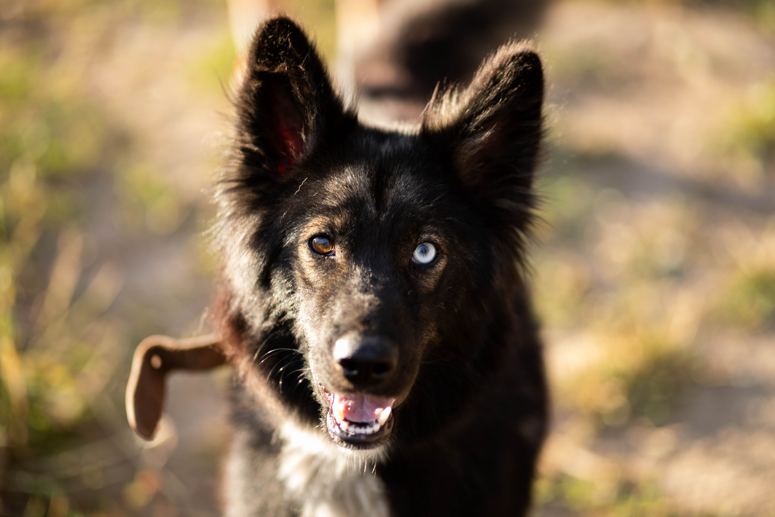 Кира Кечекьян — фотограф в Москве